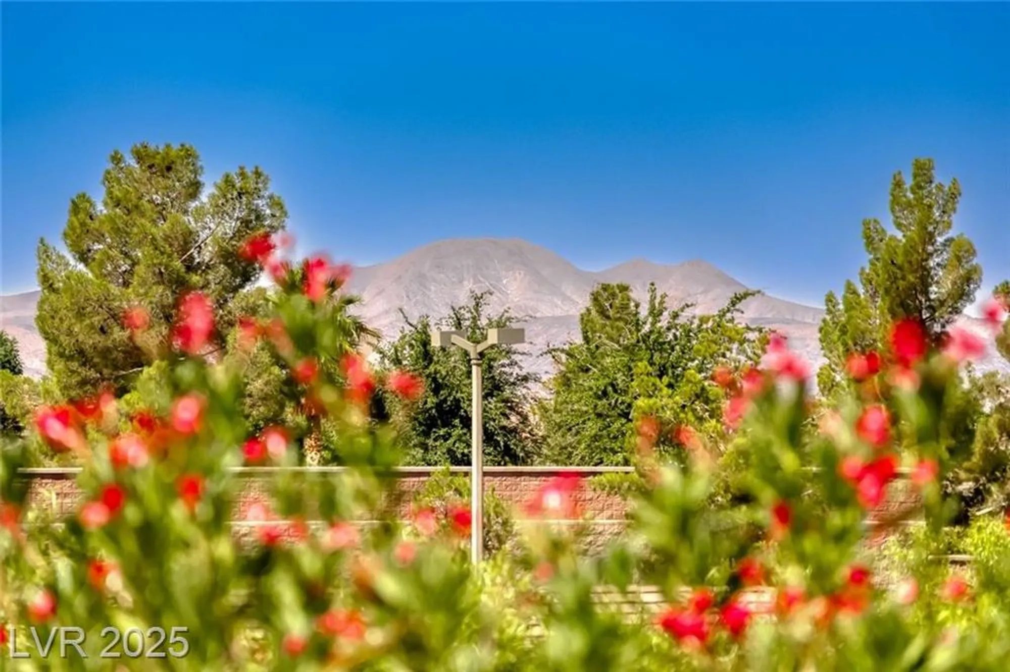 Property Slideshow image 37 of 50 | 2343 schaeffer hills dr, Henderson, NV, 89052