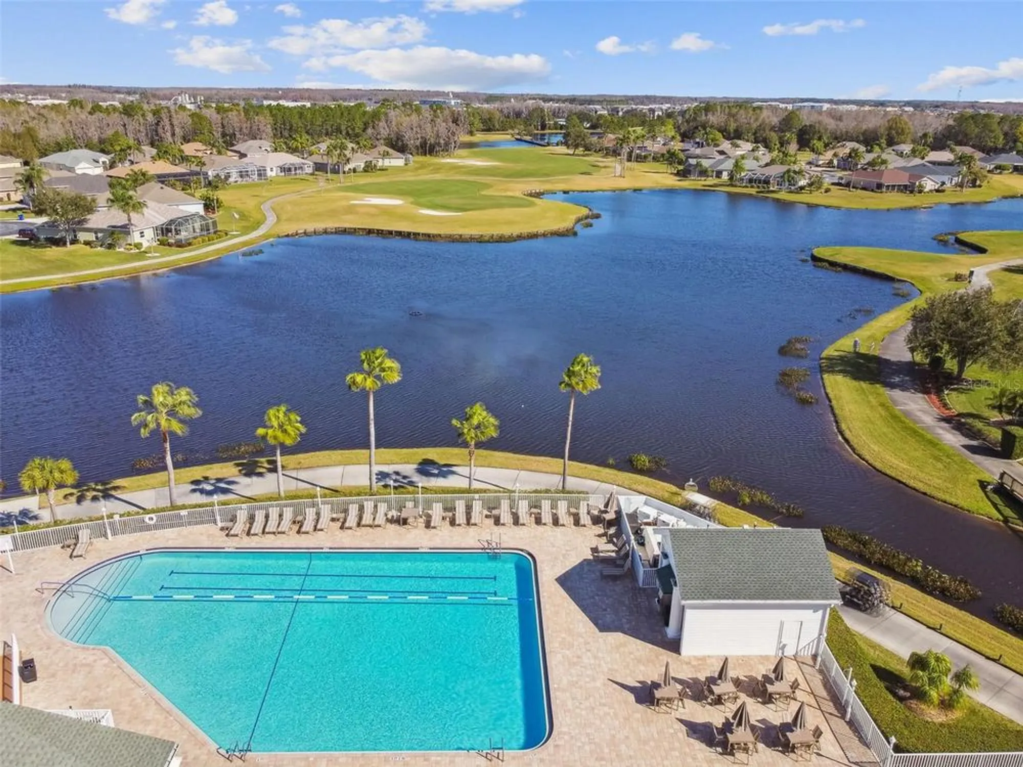 Property Slideshow image 38 of 41 | 12202 arron ter, Trinity, FL, 34655