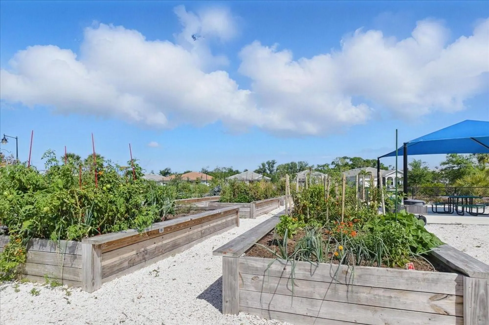 Property Slideshow image 54 of 58 | 10136 coral shore dr, Englewood, FL, 34223