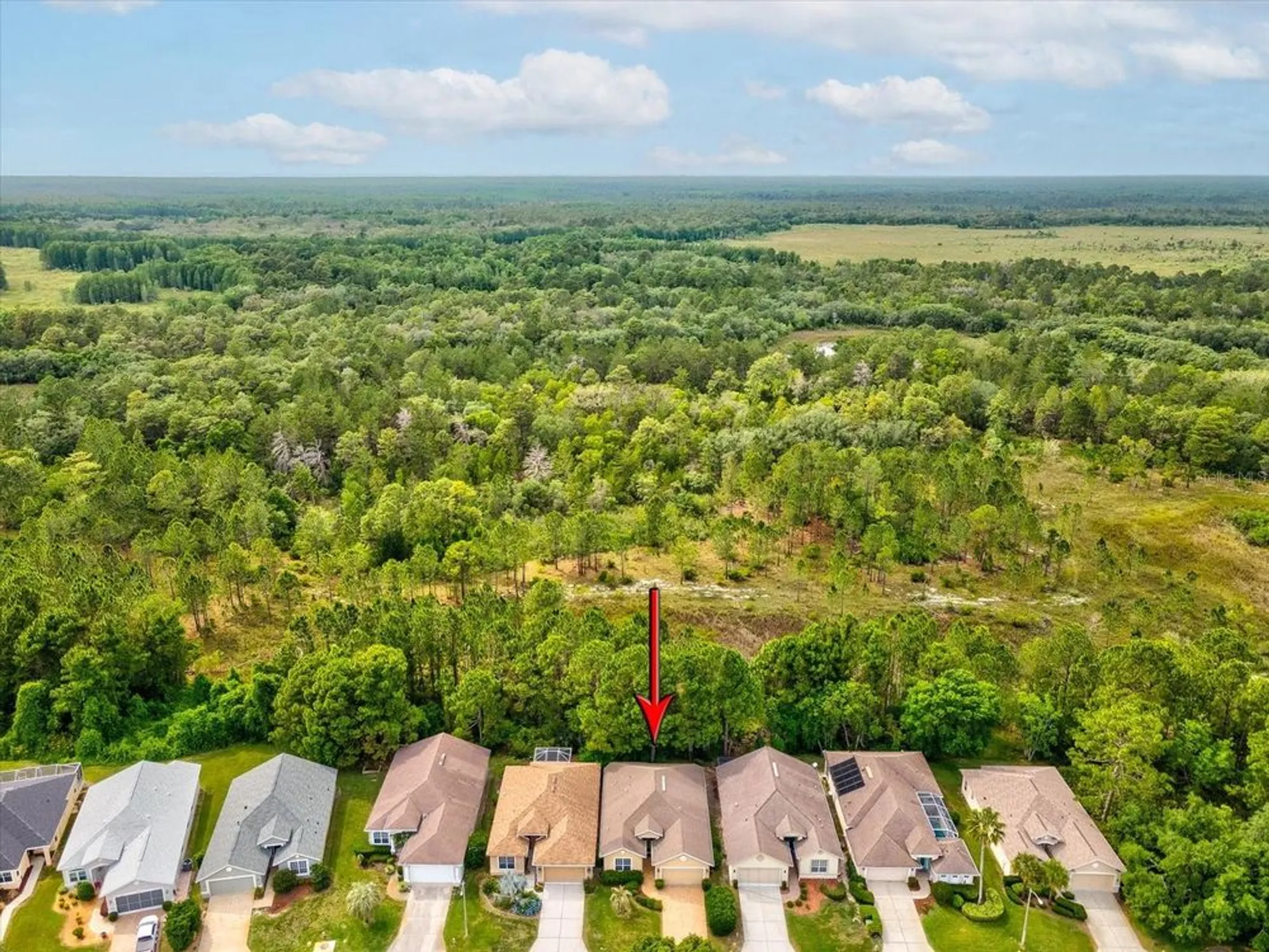 Property Slideshow image 42 of 82 | 10187 holly berry dr, Weeki Wachee, FL, 34613