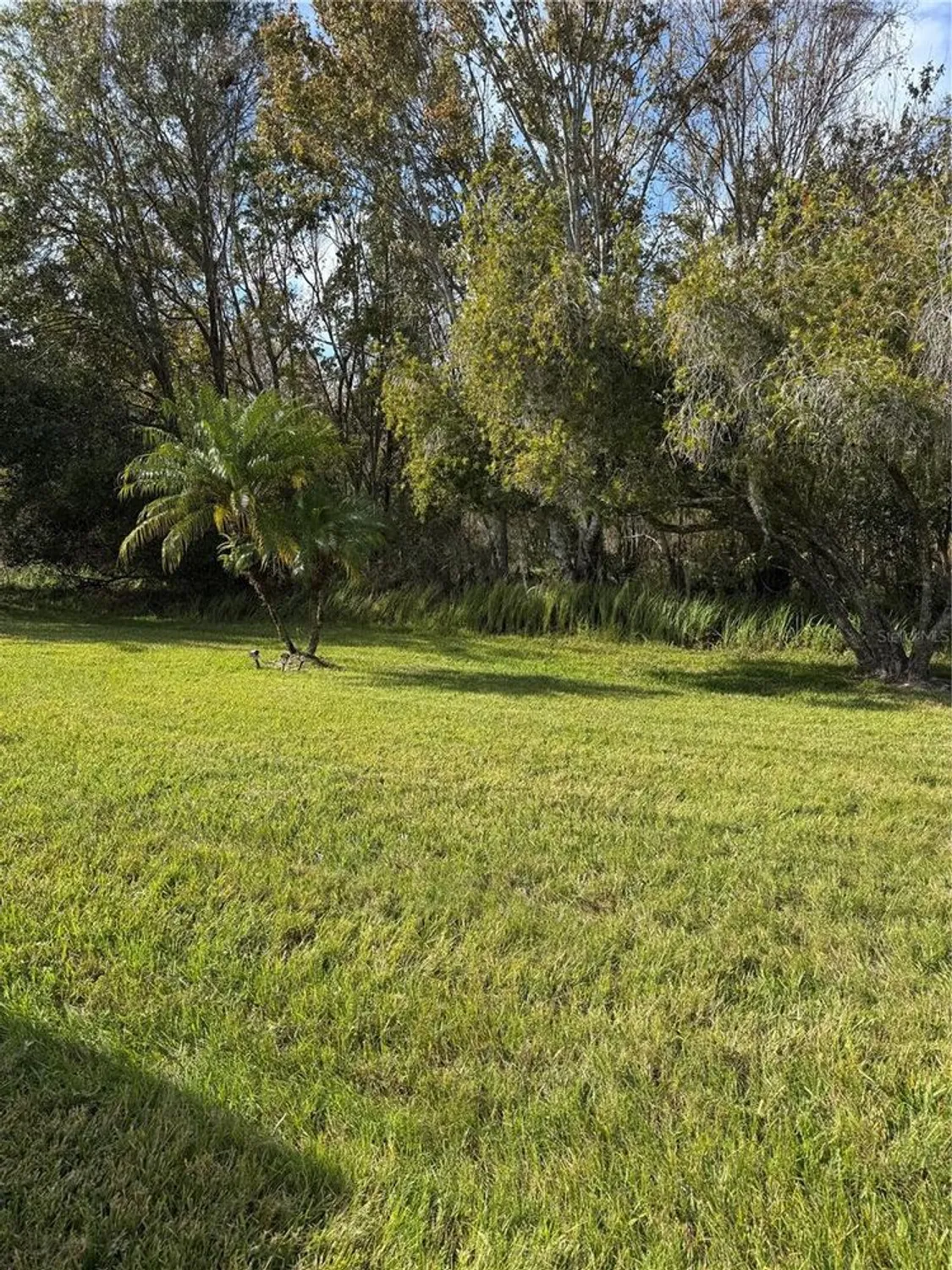 Property Slideshow image 27 of 27 | 3323 songbird ln, Lakeland, FL, 33811