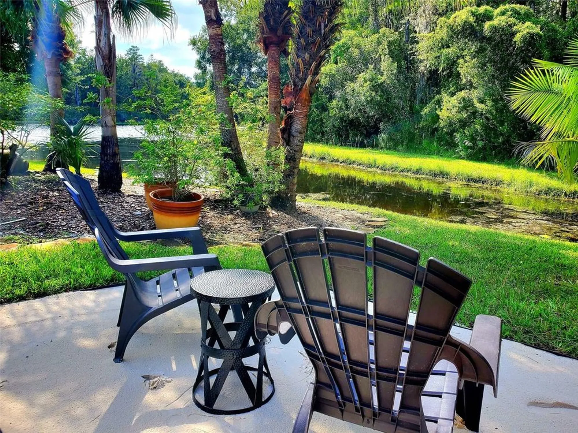 Property Slideshow image 49 of 50 | 1517 morning rose pl, Trinity, FL, 34655