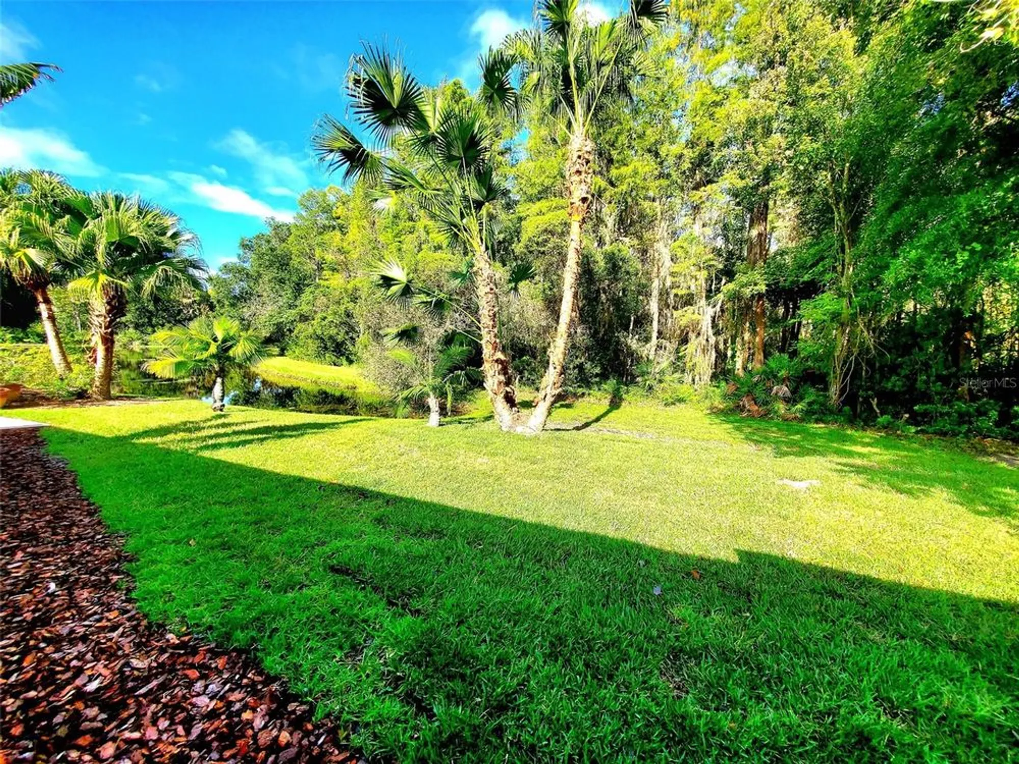 Property Slideshow image 46 of 50 | 1517 morning rose pl, Trinity, FL, 34655