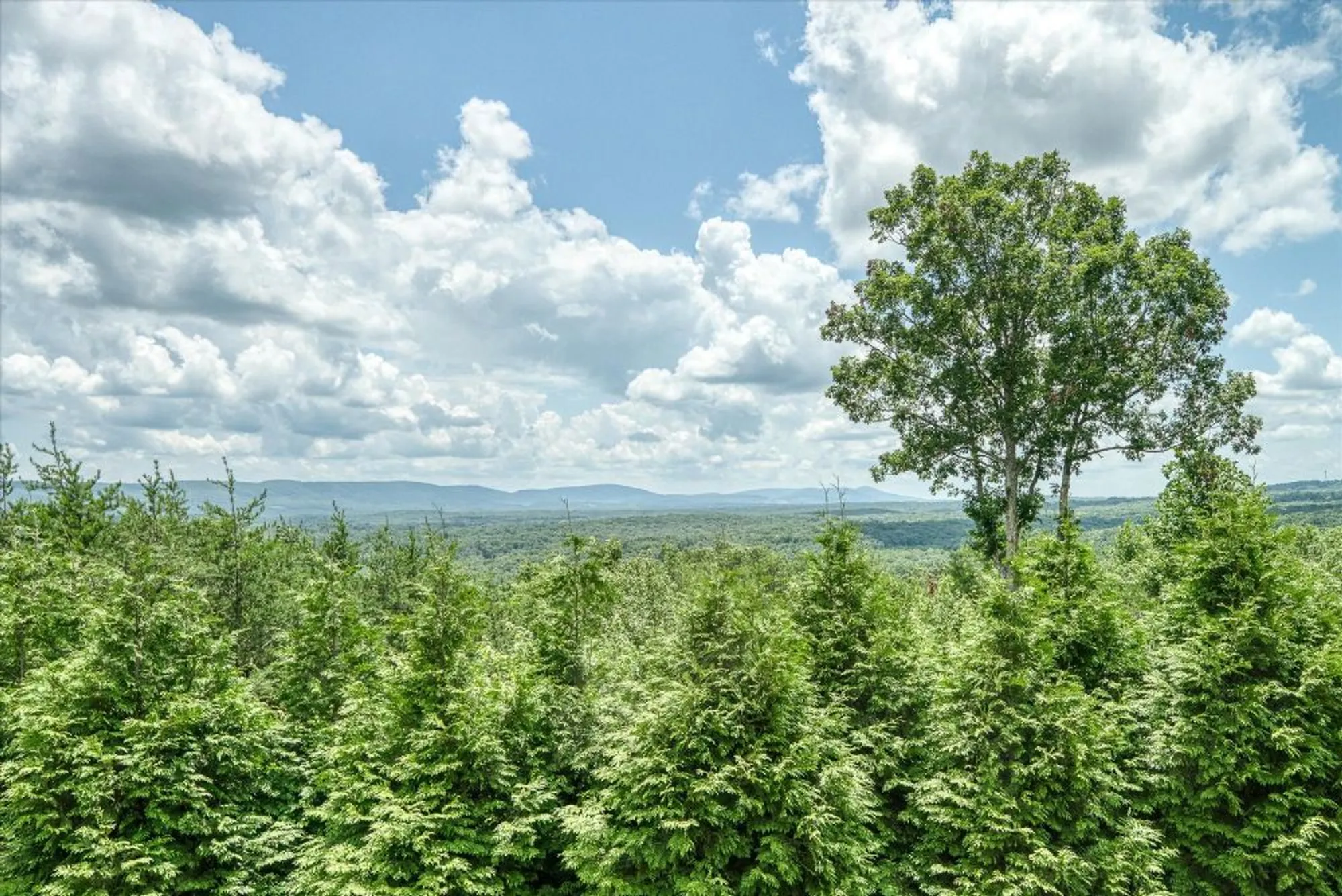 Property Slideshow image 8 of 81 | 61 bluff view ct, Crossville, TN, 38558