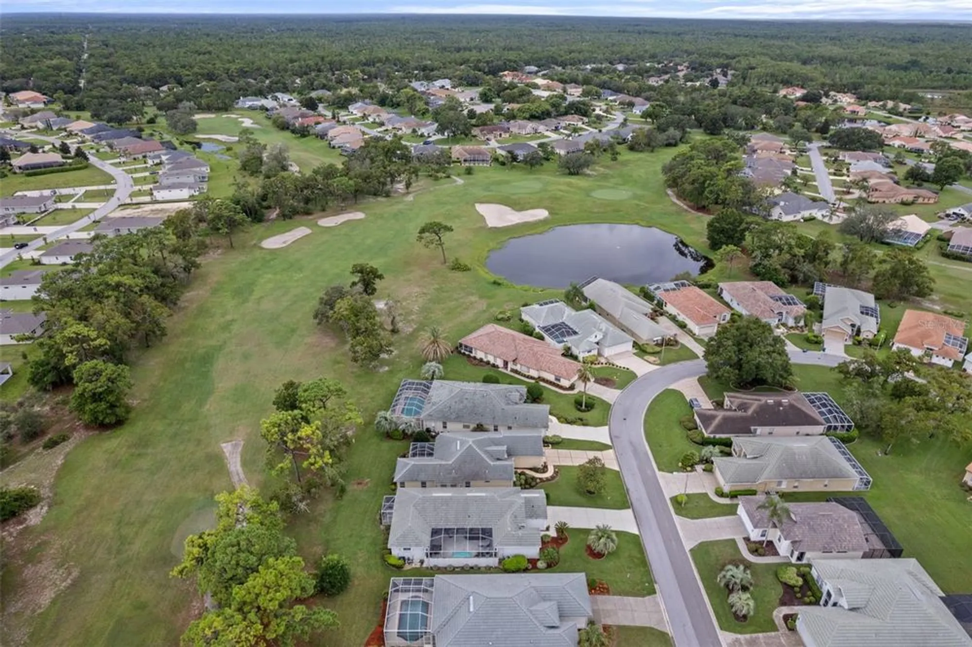 Property Slideshow image 49 of 52 | 9171 penelope dr, Weeki Wachee, FL, 34613