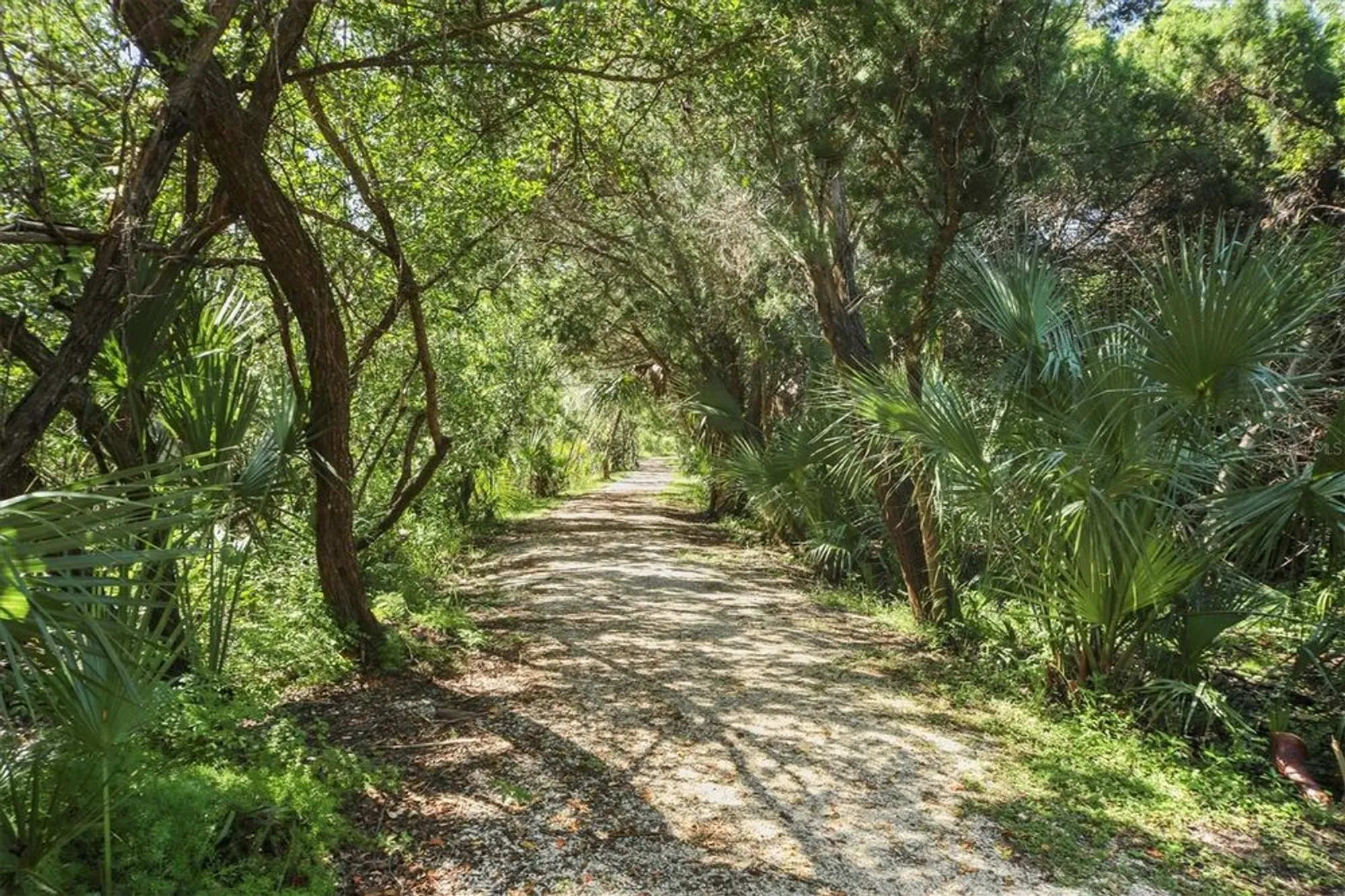 Property Slideshow image 56 of 71 | 1703 starling dr # 1703, Sarasota, FL, 34231