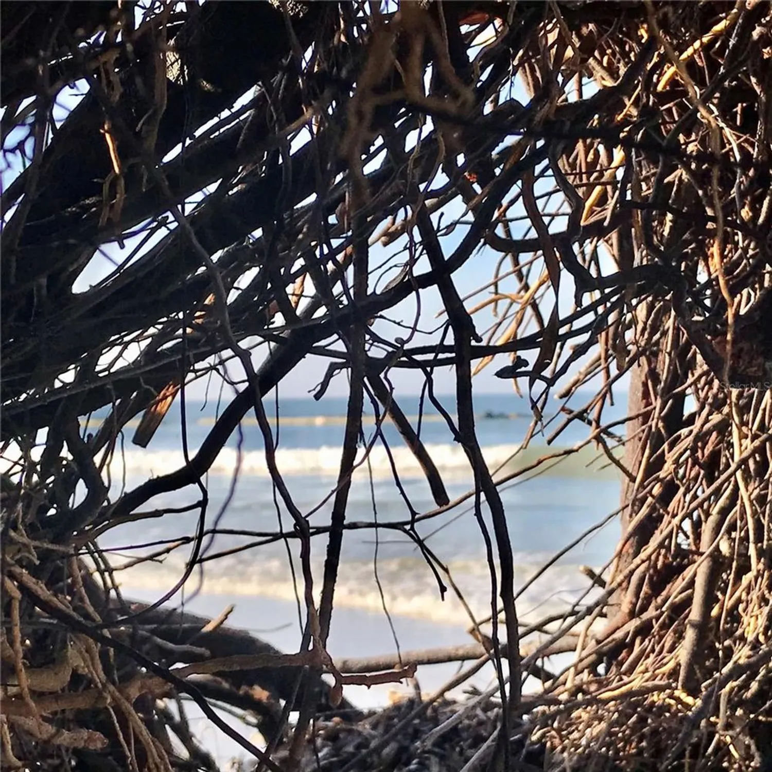 Property Slideshow image 34 of 38 | 2254 norwegian dr 46, Clearwater, FL, 33763