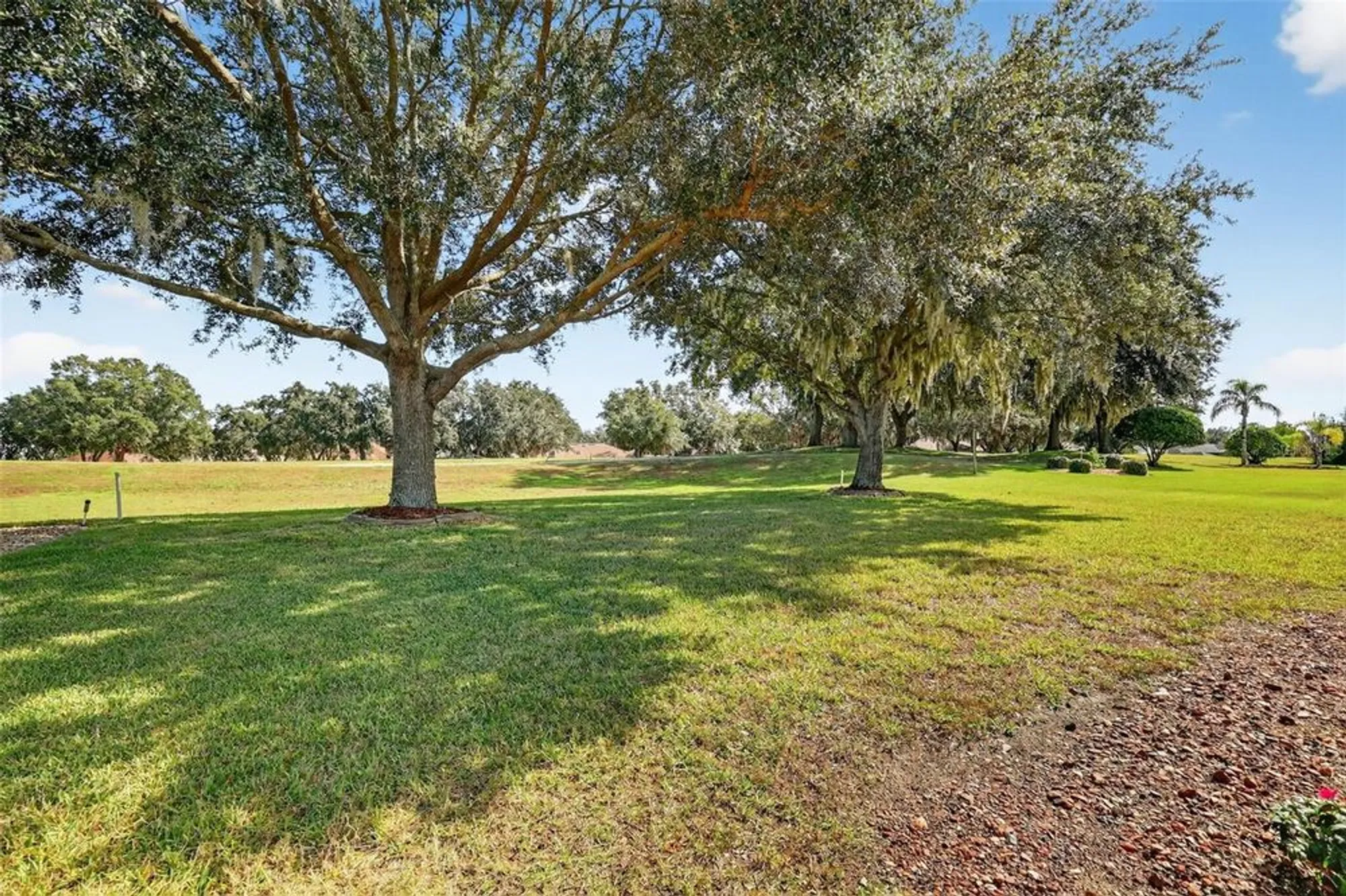 Property Slideshow image 43 of 66 | 21202 braveheart dr, Leesburg, FL, 34748