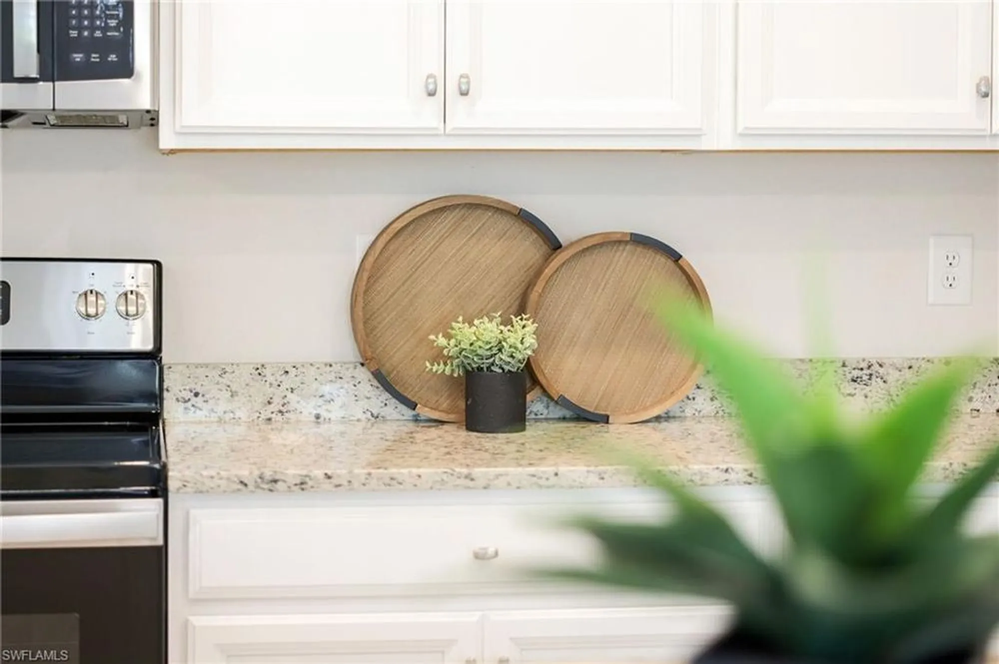 Property Slideshow image 9 of 49 | 19752 the place blvd, Estero, FL, 33928