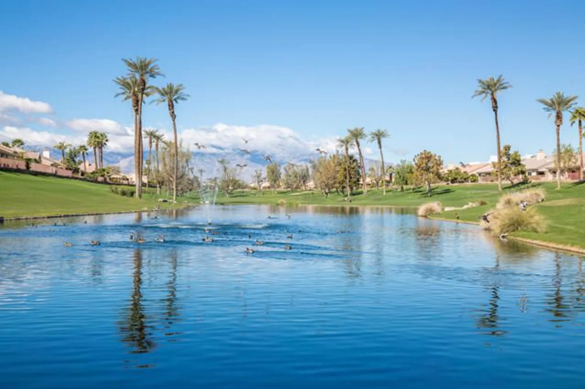 Property Slideshow image 39 of 39 | 38781 brandywine ave, Palm Desert, CA, 92211