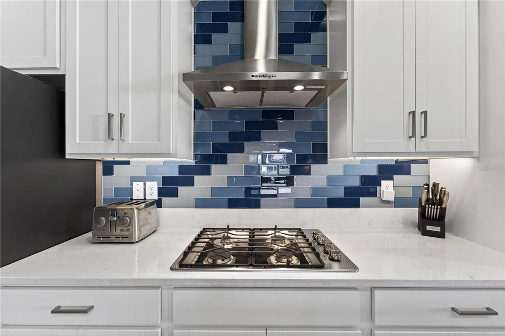 Property Slideshow image 10 of 98 | 17216 scuba crest st, Wimauma, FL, 33598