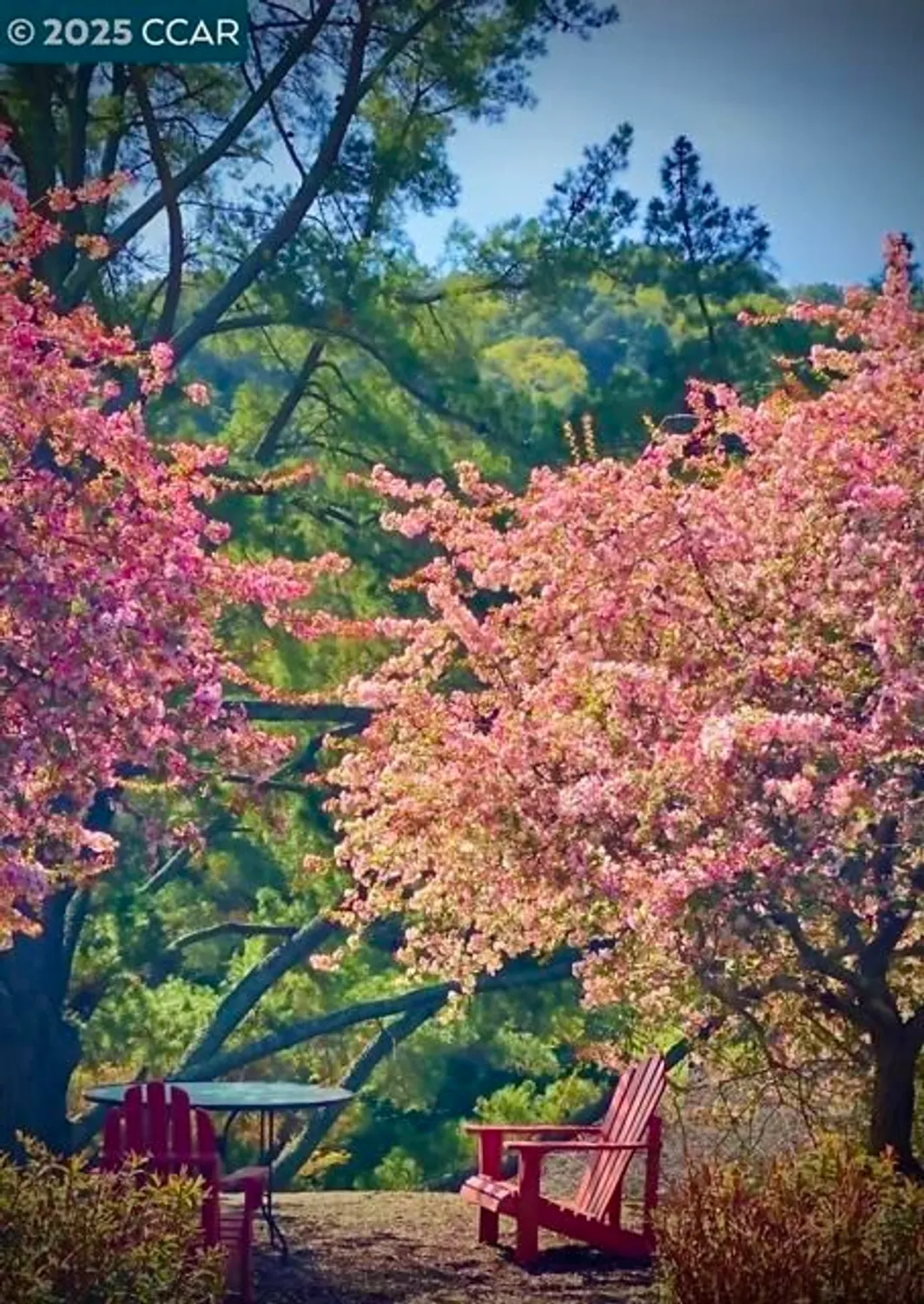 Property Slideshow image 47 of 54 | 3434 tice creek dr 5, Walnut Creek, CA, 94595