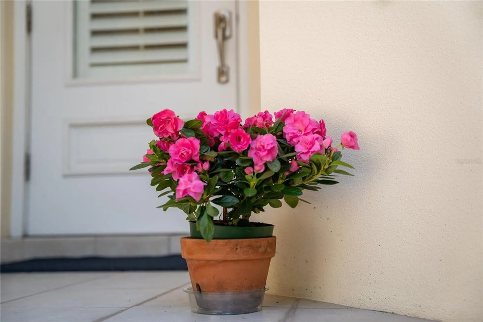 Property Slideshow image 44 of 55 | 12185 obelia ln, Orlando, FL, 32827