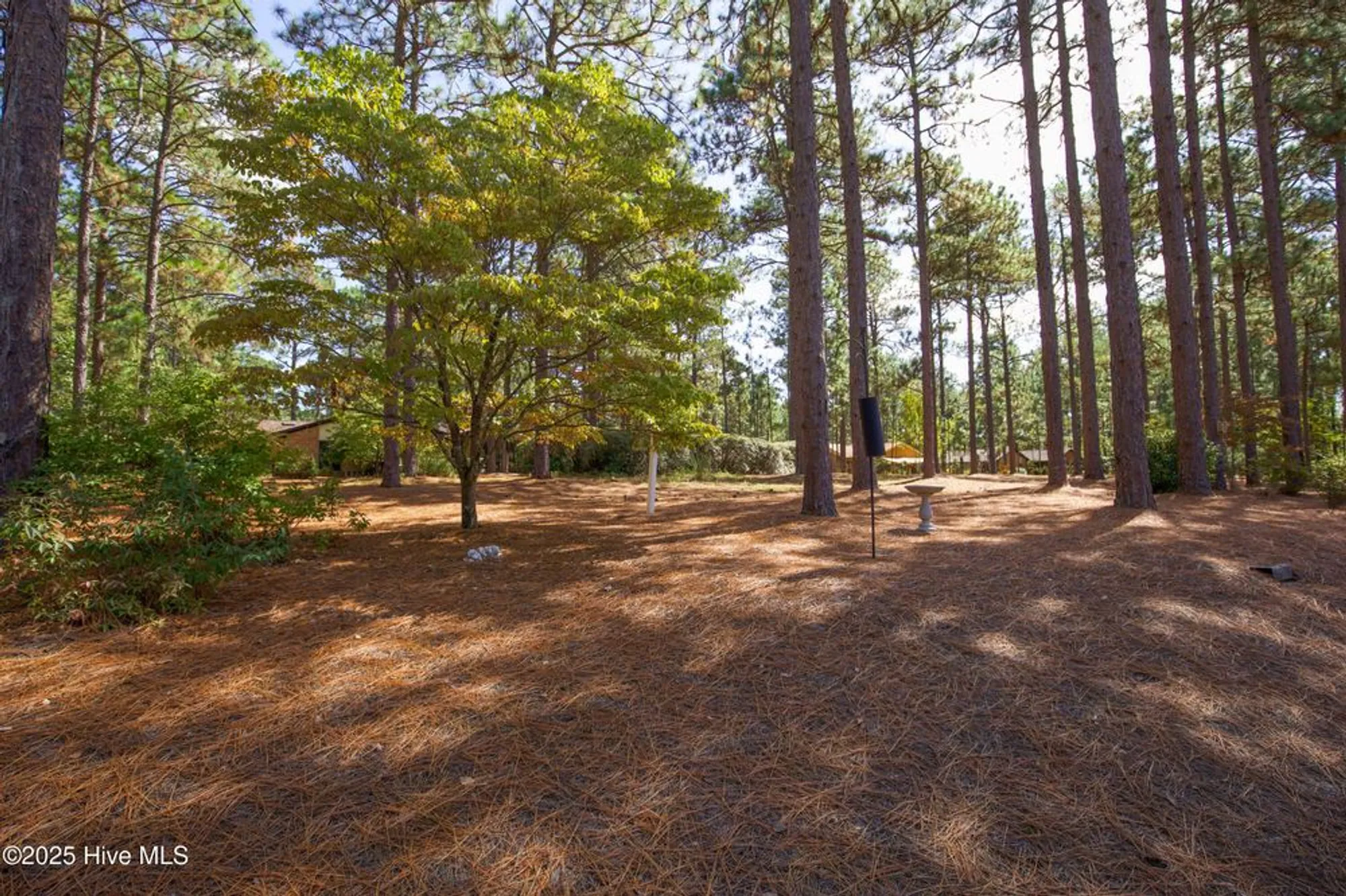 Property Slideshow image 43 of 49 | 737 burlwood dr, Southern Pines, NC, 28387