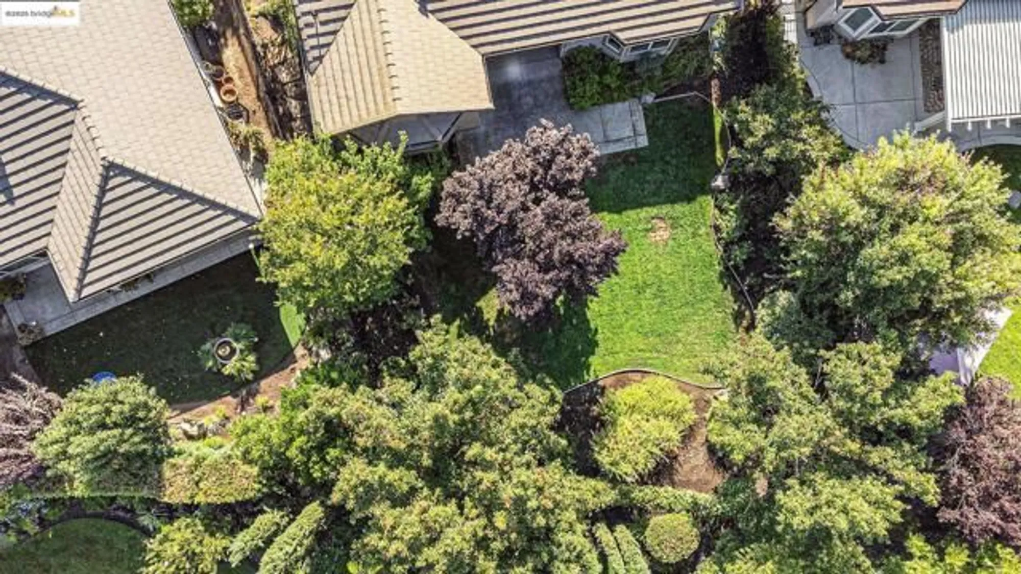Property Slideshow image 26 of 40 | 1182 bacchini ln, Brentwood, CA, 94513