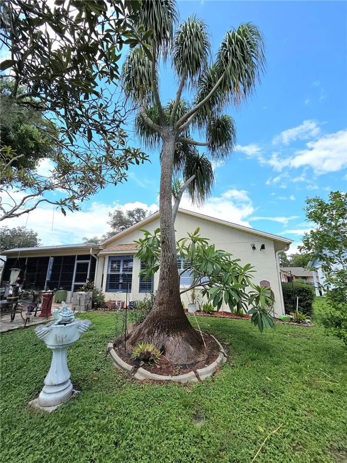 Property Slideshow image 45 of 48 | 9902 saint joseph ct, New Port Richey, FL, 34655