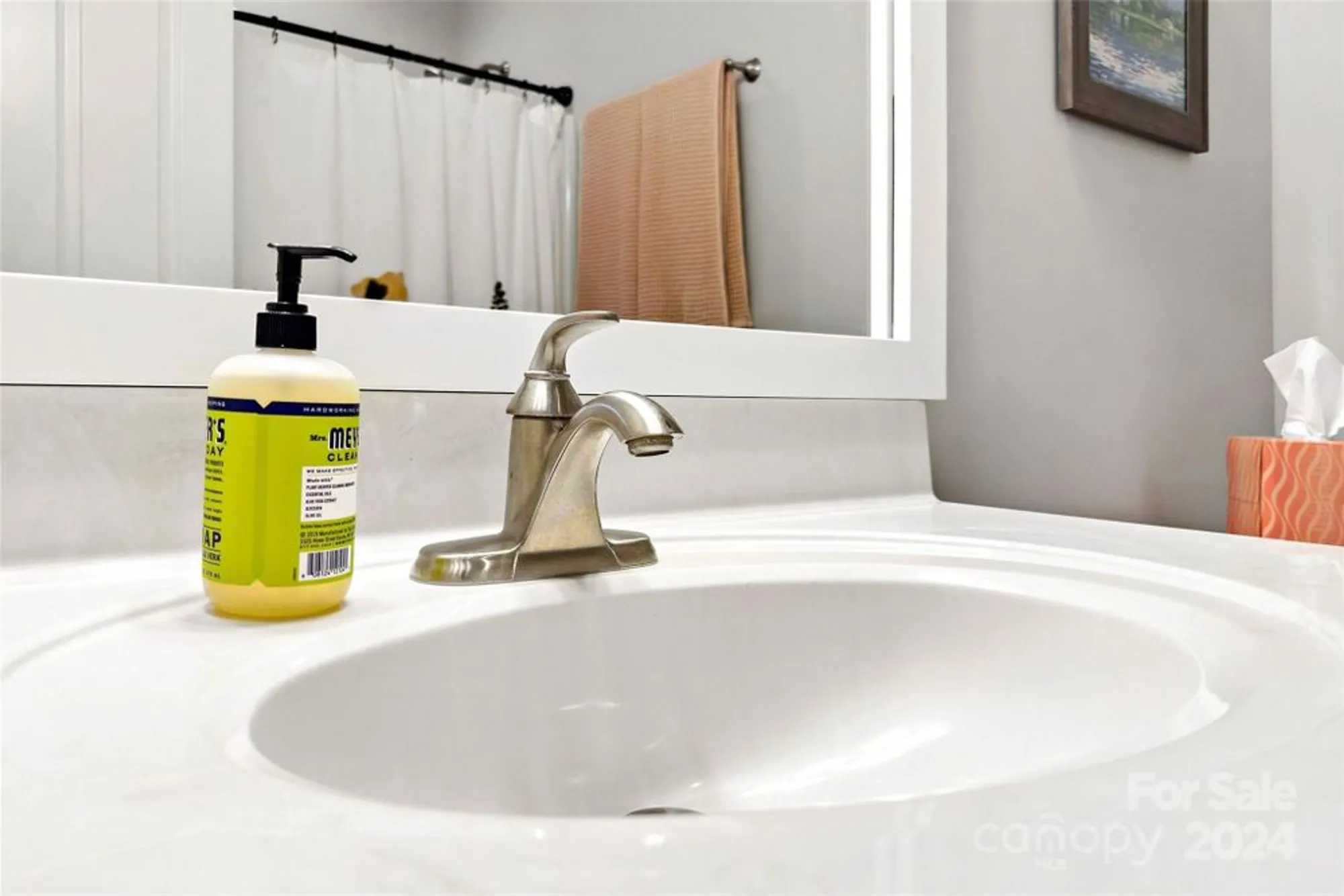 Property Slideshow image 34 of 43 | 4 nectar way, Swannanoa, NC, 28778