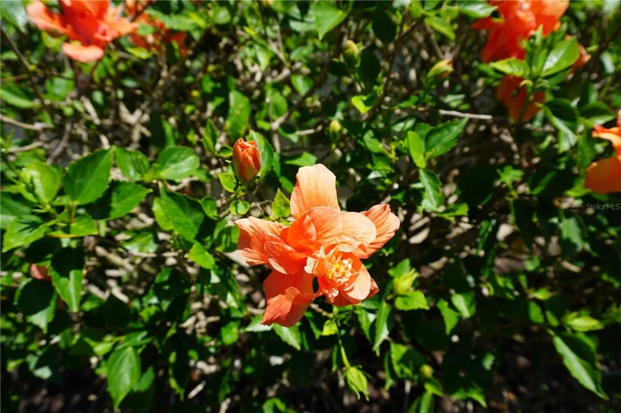 Property Slideshow image 38 of 60 | 24141 green heron dr # 23, Punta Gorda, FL, 33980