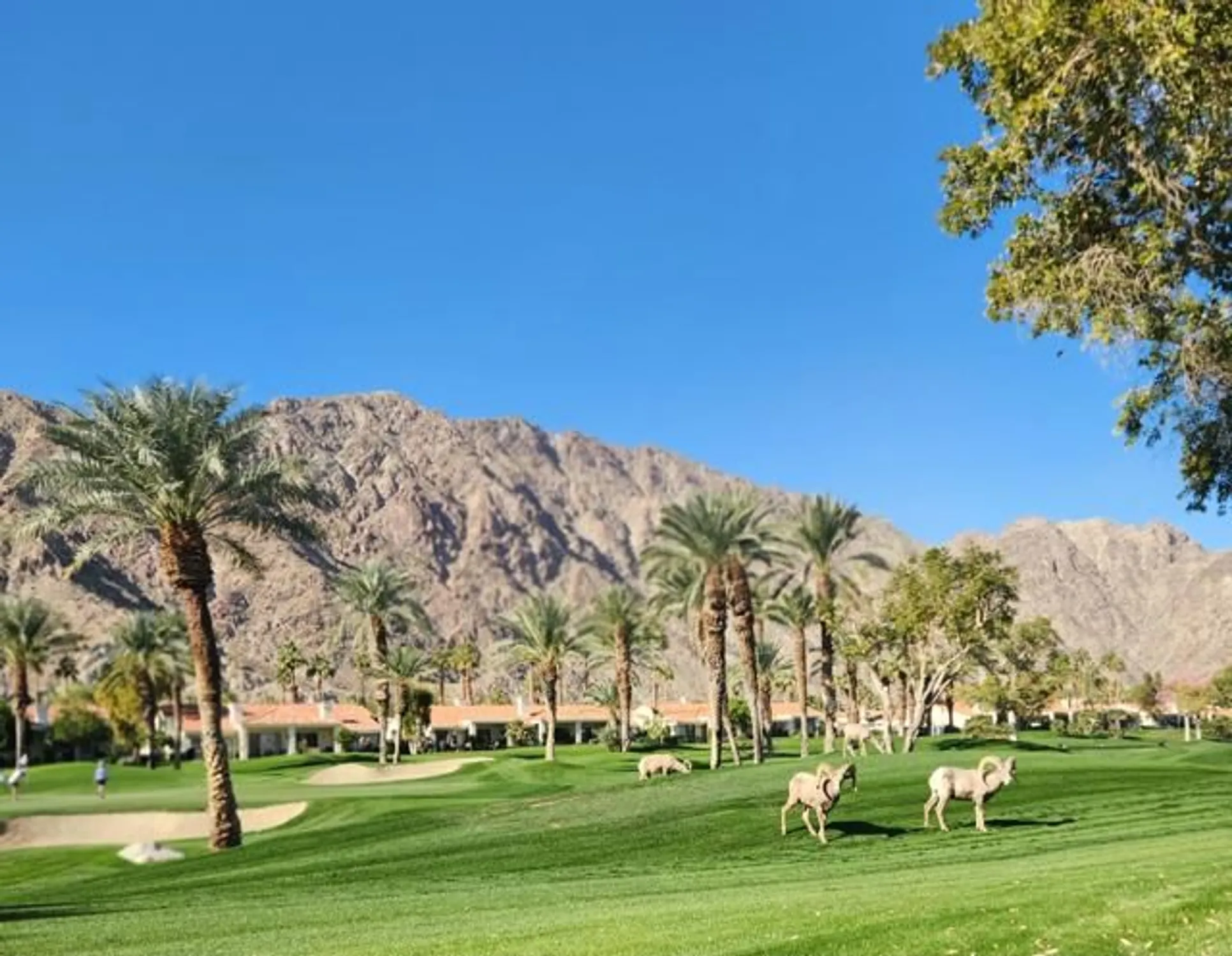 Property Slideshow image 48 of 53 | 55280 riviera, La Quinta, CA, 92253