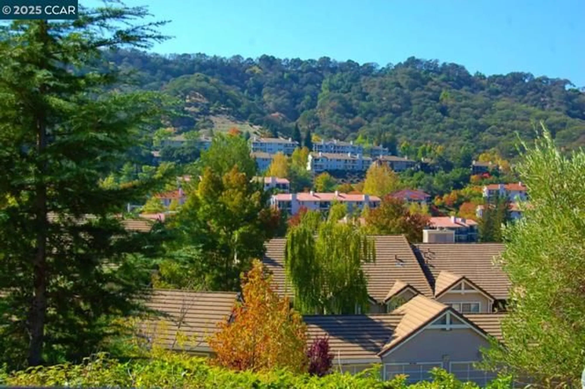 Property Slideshow image 54 of 60 | 1332 canyonwood ct apt 2, Walnut Creek, CA, 94595
