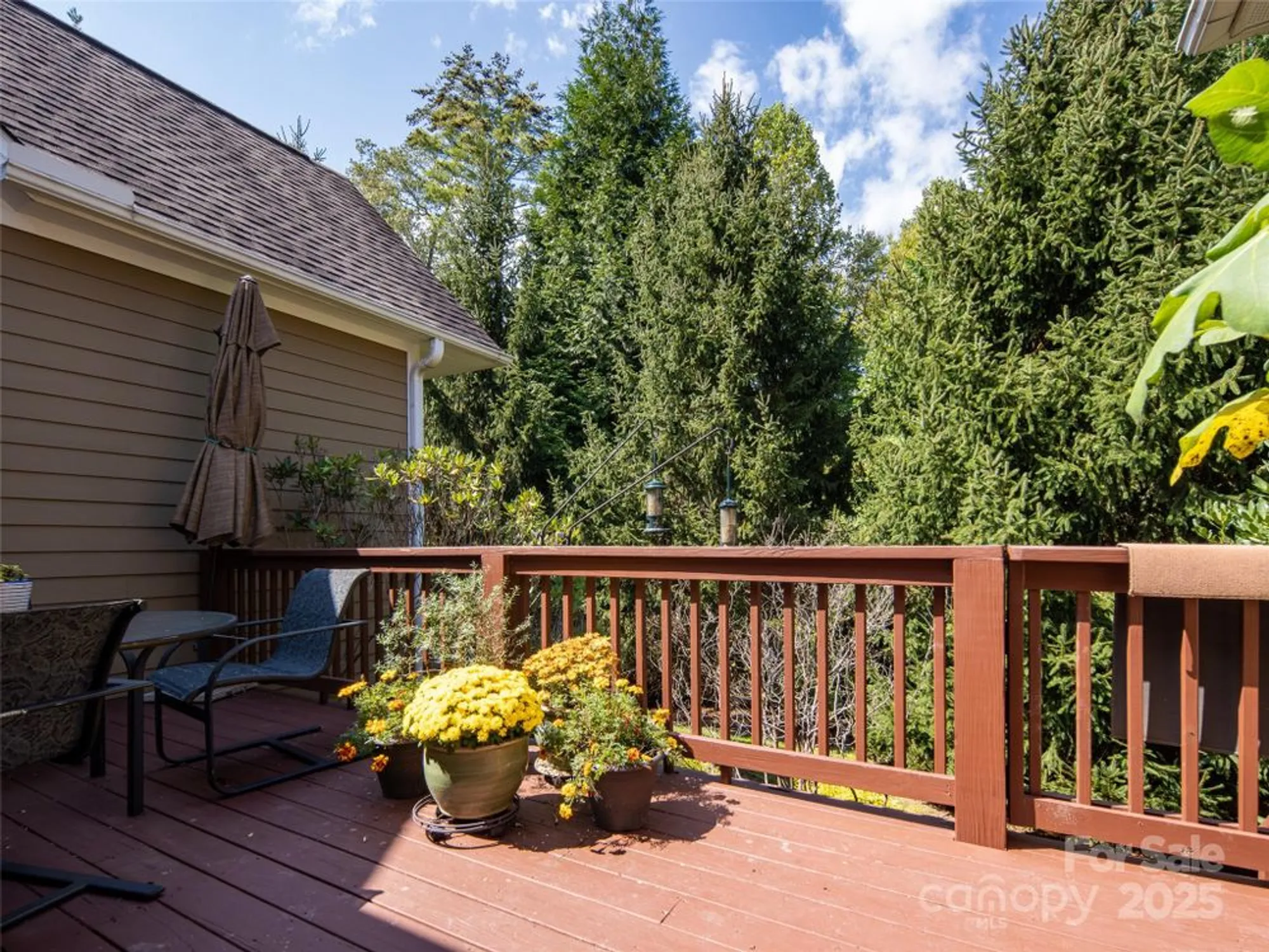 Property Slideshow image 19 of 21 | 26 black horse run, Biltmore Lake, NC, 28715