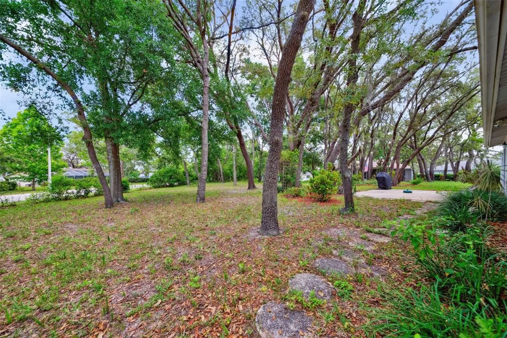 Property Slideshow image 29 of 30 | 8619 gold pine dr, Port Richey, FL, 34668