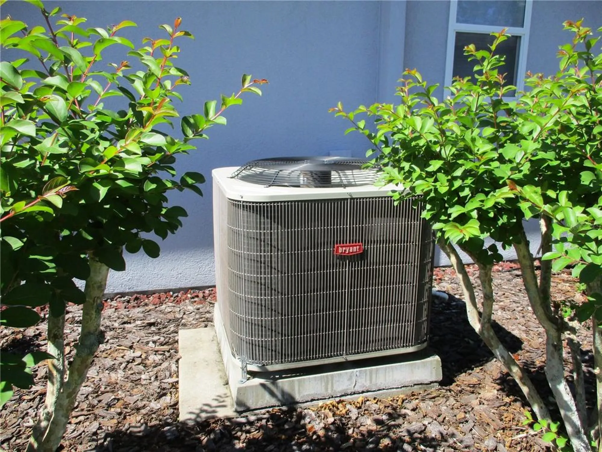 Property Slideshow image 49 of 84 | 11369 sw 139th st, Dunnellon, FL, 34432