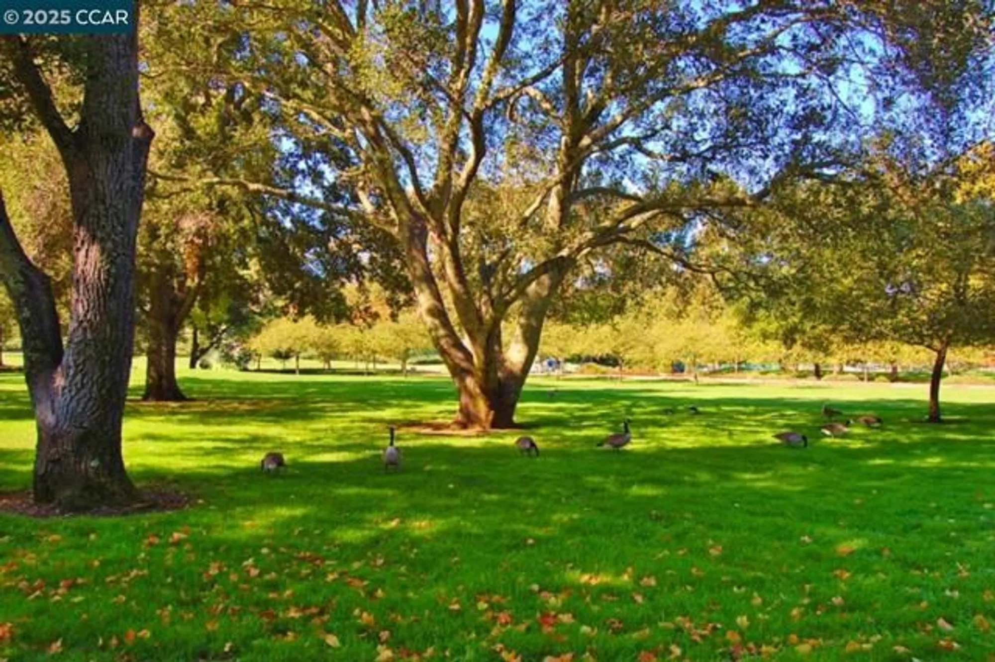 Property Slideshow image 49 of 60 | 1332 canyonwood ct apt 2, Walnut Creek, CA, 94595