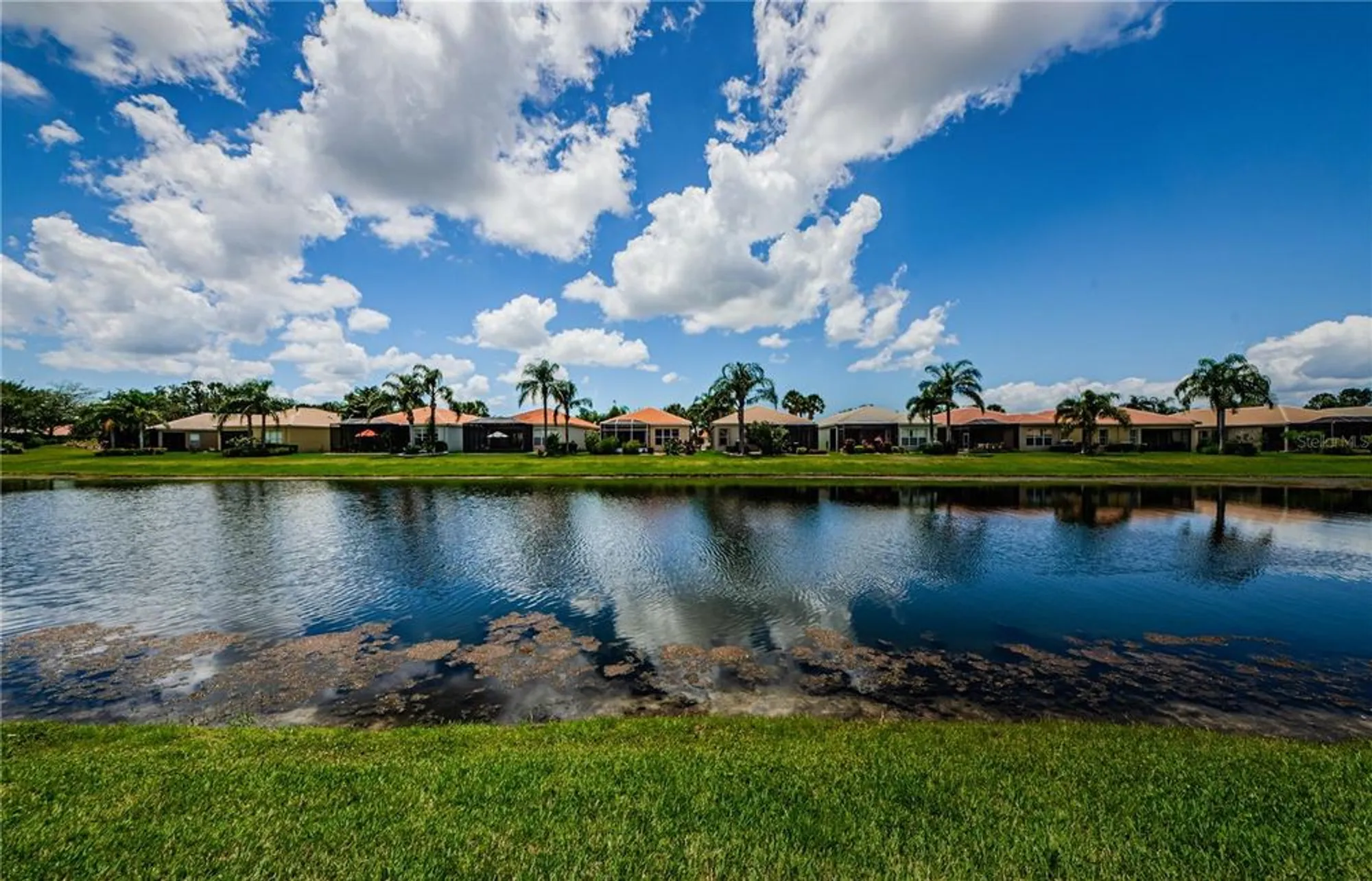 Property Slideshow image 95 of 96 | 4918 sandy brook cir, Wimauma, FL, 33598