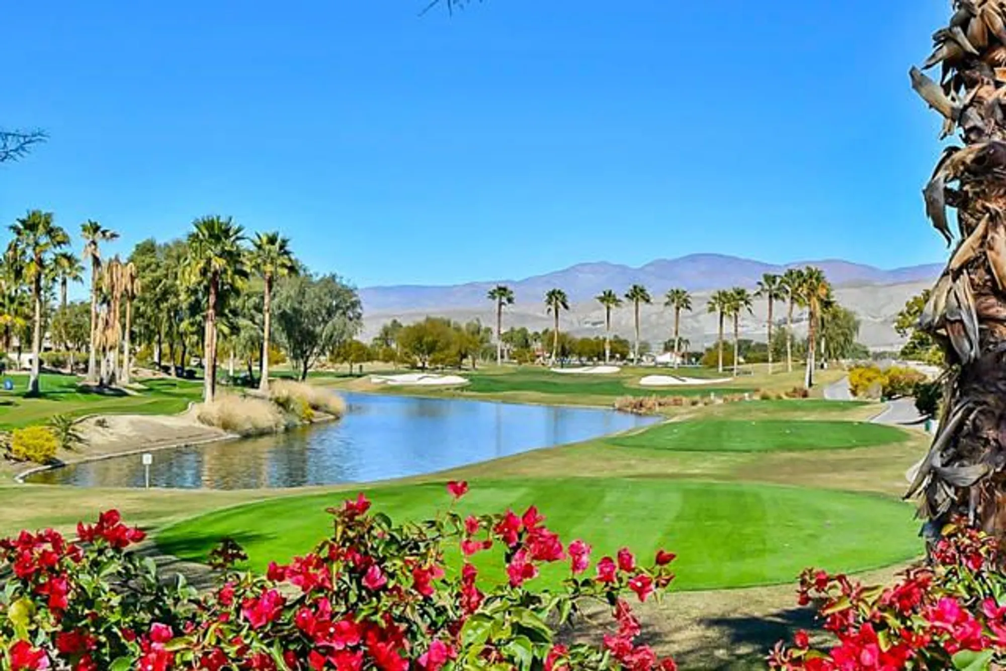 Property Slideshow image 49 of 59 | 80096 camino santa elise, Indio, CA, 92203