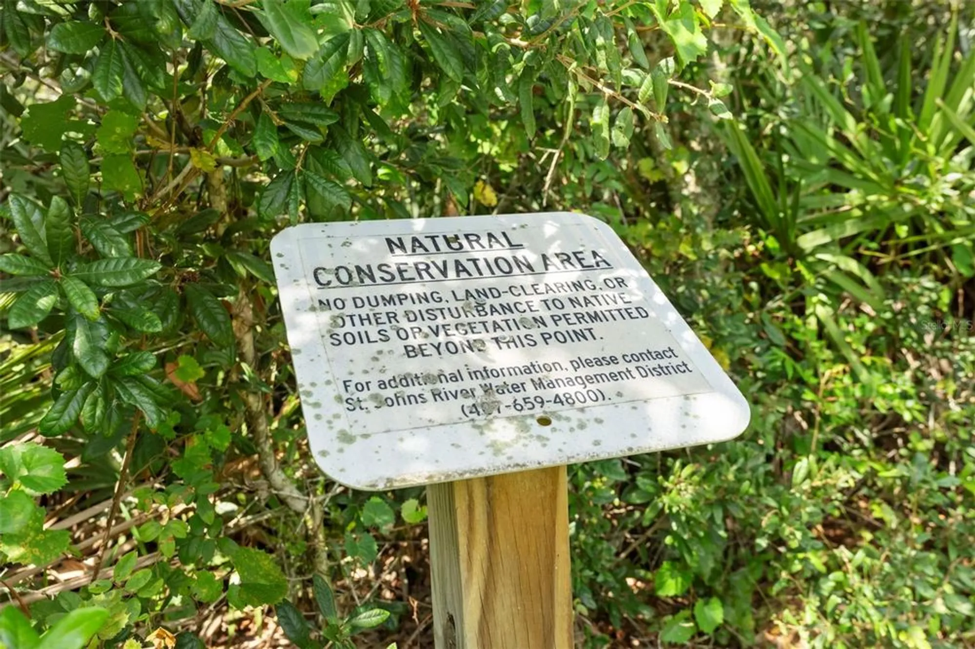 Property Slideshow image 10 of 68 | 3903 winged elm ct, Clermont, FL, 34714