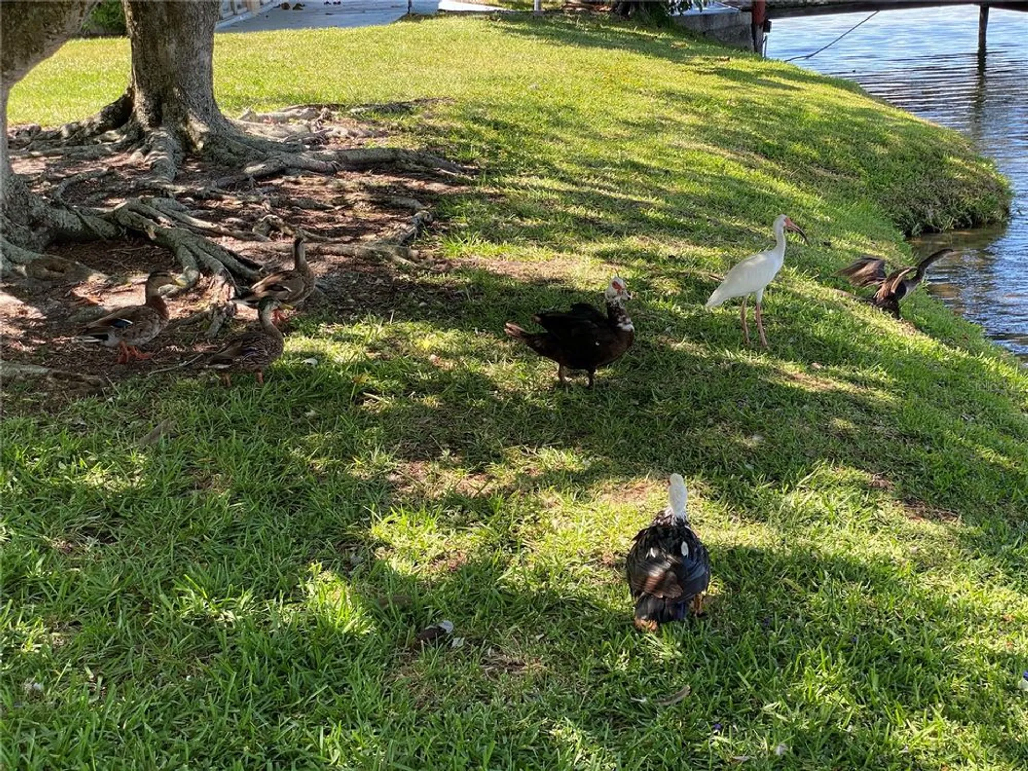 Property Slideshow image 48 of 48 | 3927 lake bayshore dr # f312, Bradenton, FL, 34205