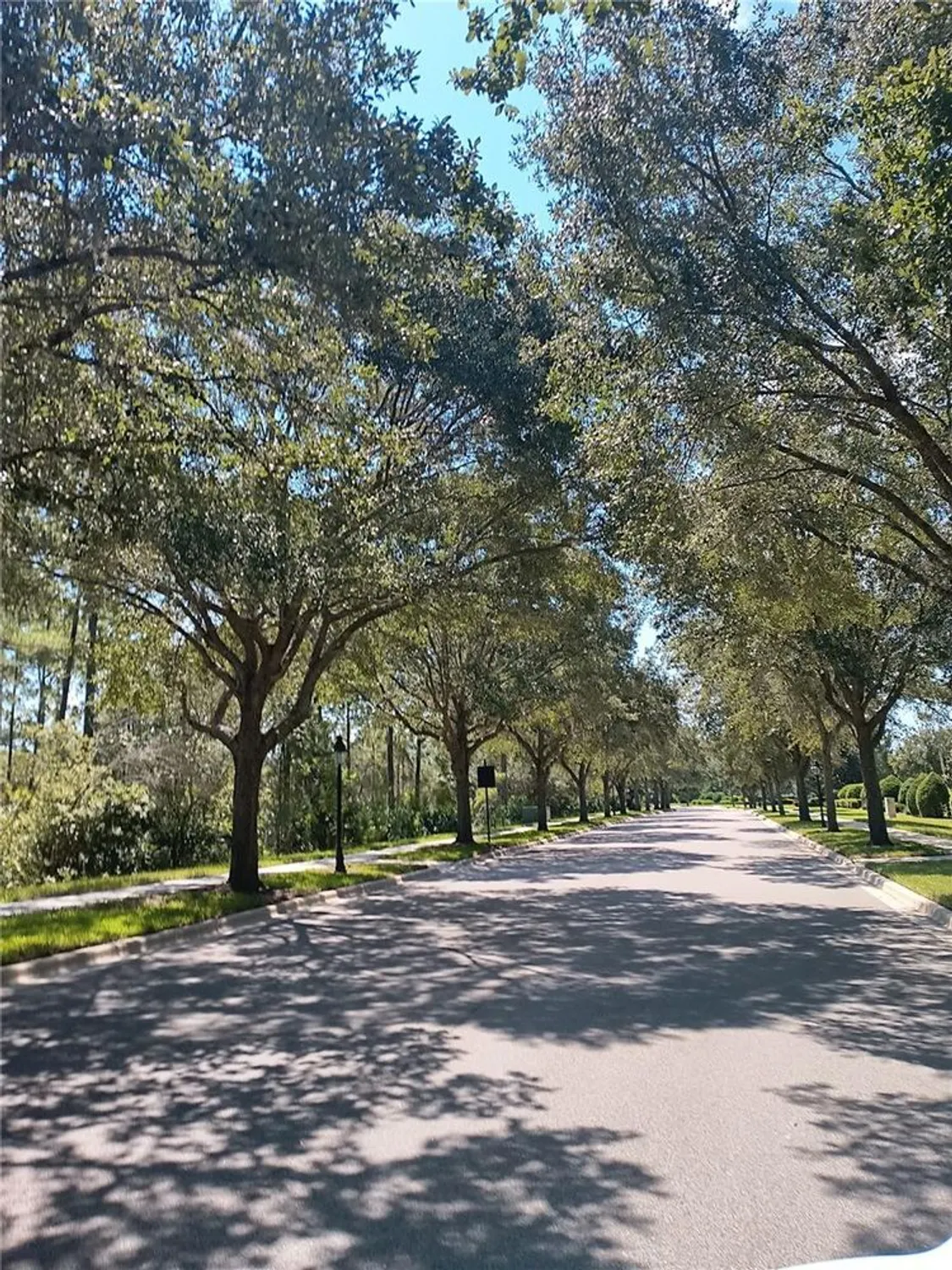 Property Slideshow image 38 of 46 | 1018 heron point cir, Deland, FL, 32724