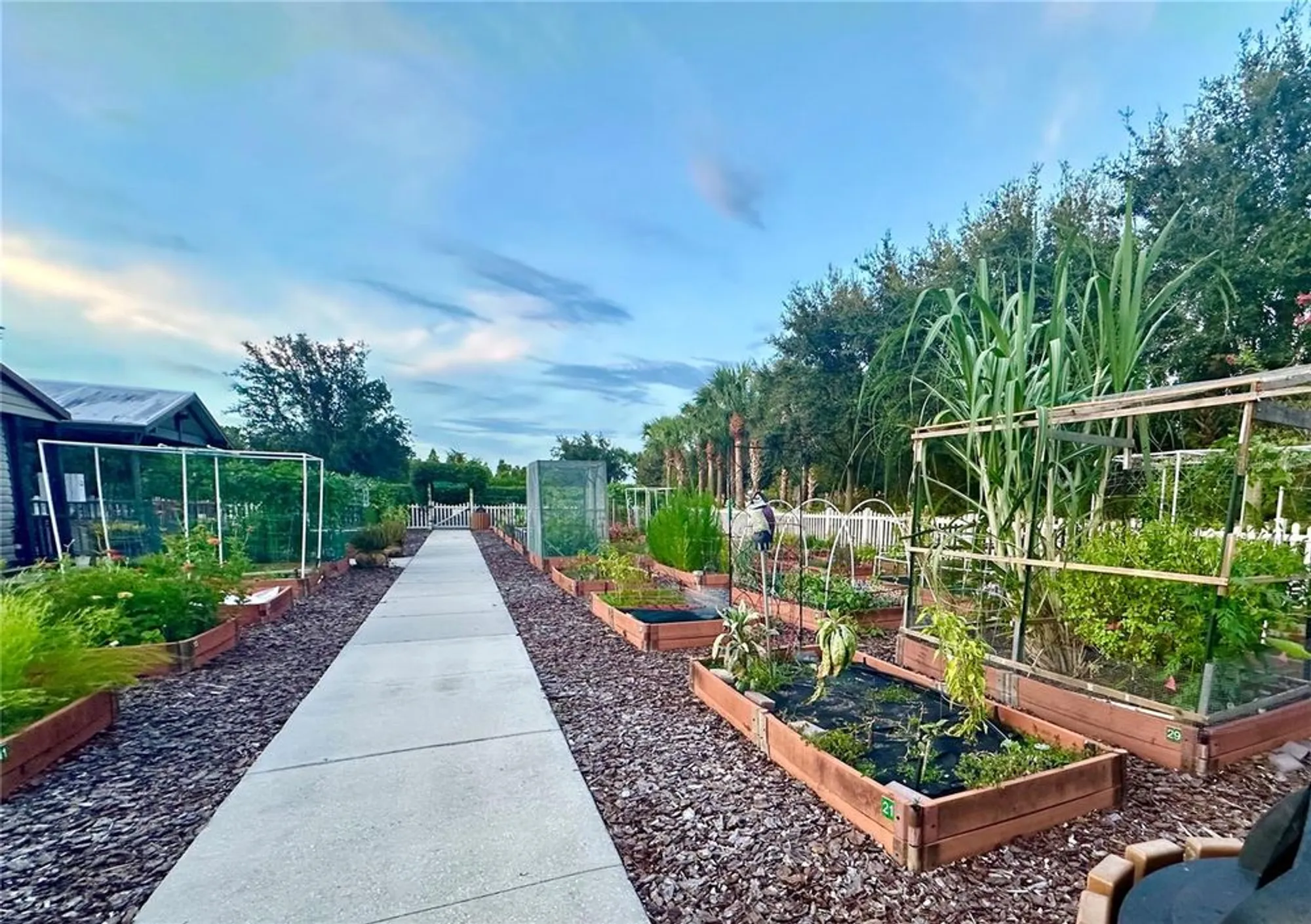 Property Slideshow image 41 of 69 | 16209 amethyst key dr, Wimauma, FL, 33598