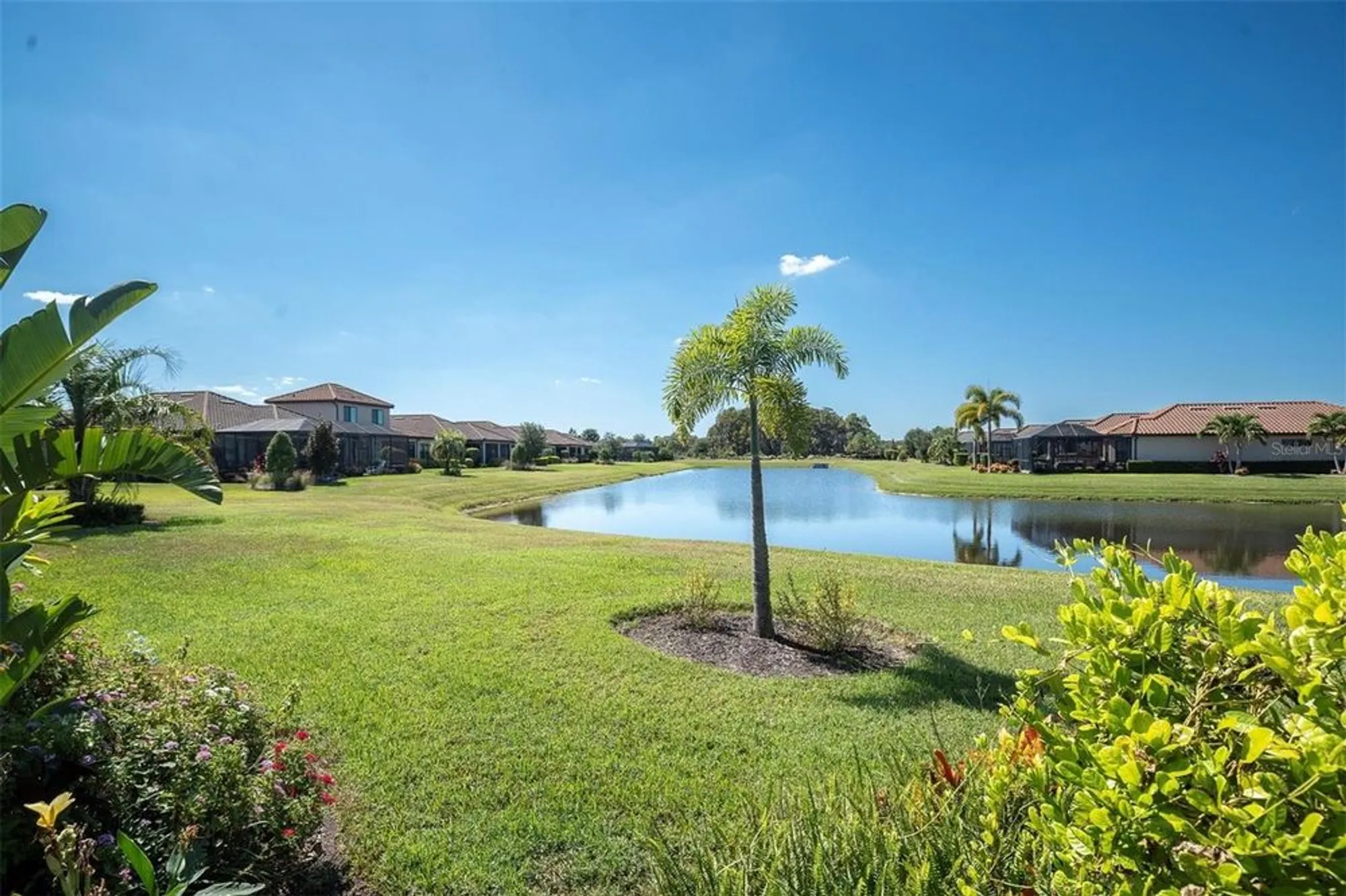 Property Slideshow image 42 of 64 | 3239 forsythia dr, Odessa, FL, 33556