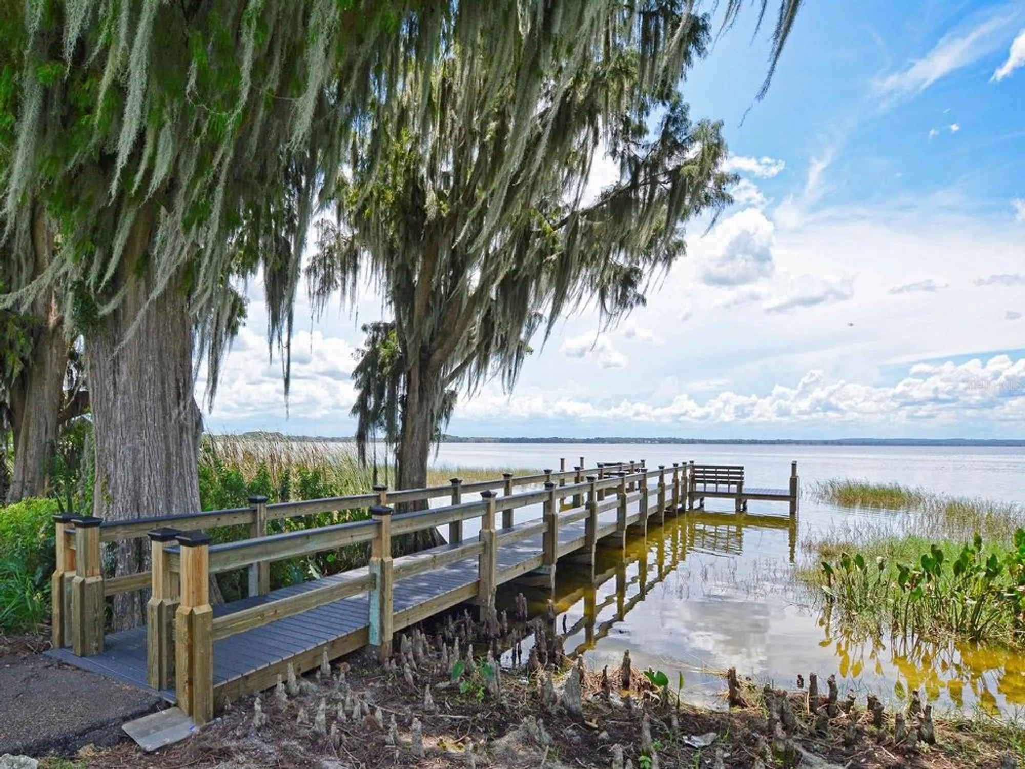 Property Slideshow image 52 of 82 | 5008 adriatic ave, Tavares, FL, 32778