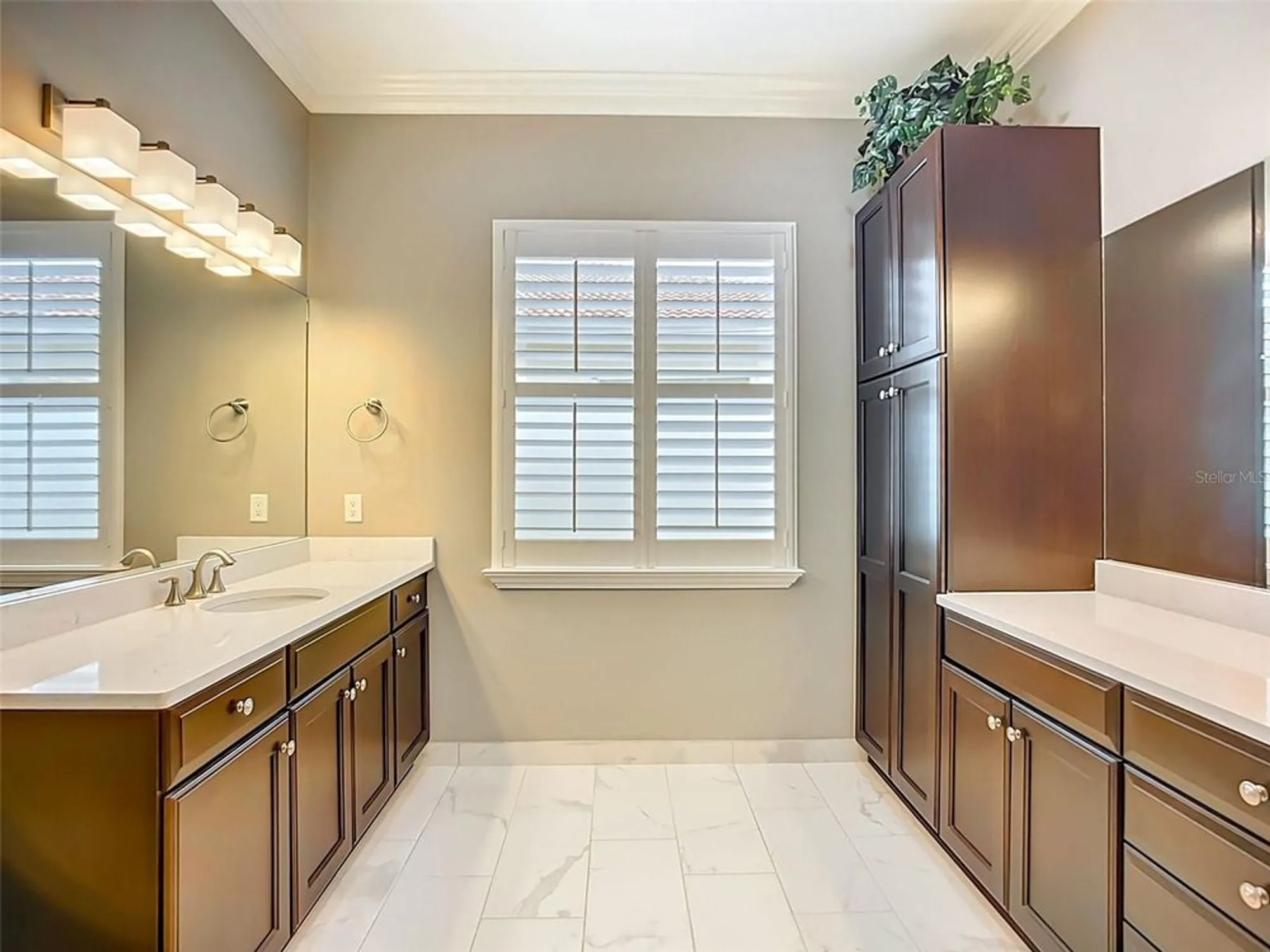 Property Slideshow image 29 of 75 | 15909 cape coral dr, Wimauma, FL, 33598