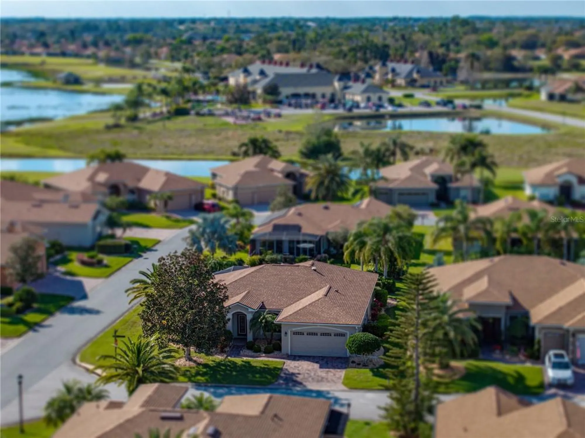 Property Slideshow image 74 of 75 | 4232 roebelenii dr, Lake Wales, FL, 33859