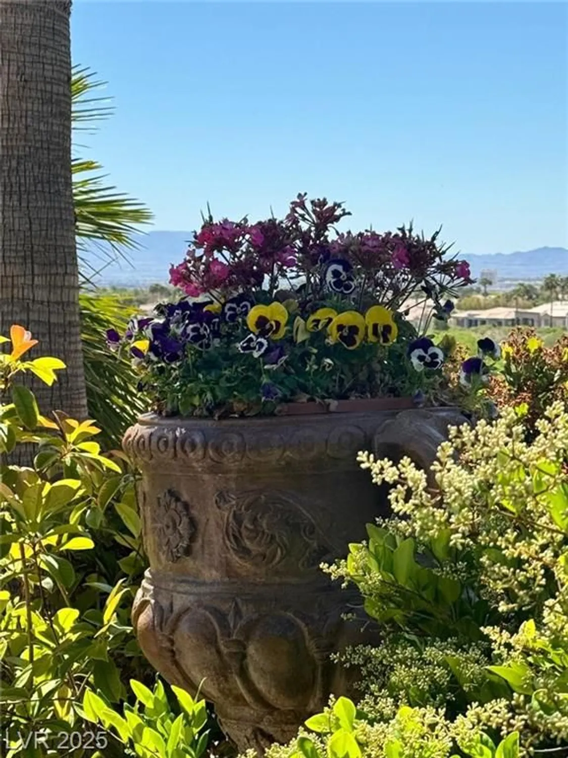 Property Slideshow image 39 of 47 | 4596 bersaglio st, Las Vegas, NV, 89135