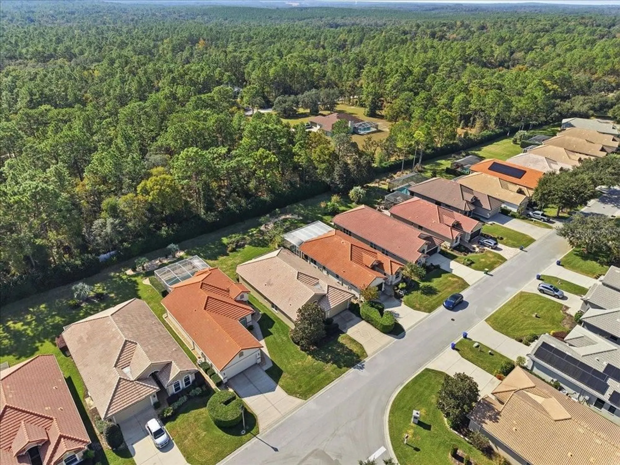 Property Slideshow image 48 of 55 | 1650 w laurel glen path, Hernando, FL, 34442