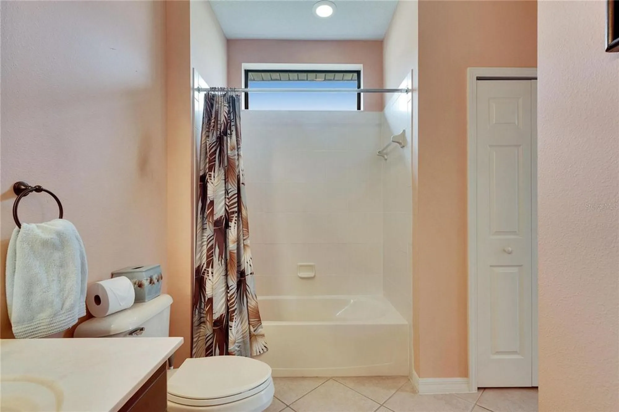 Property Slideshow image 45 of 97 | 144 silver falls dr, Apollo Beach, FL, 33572