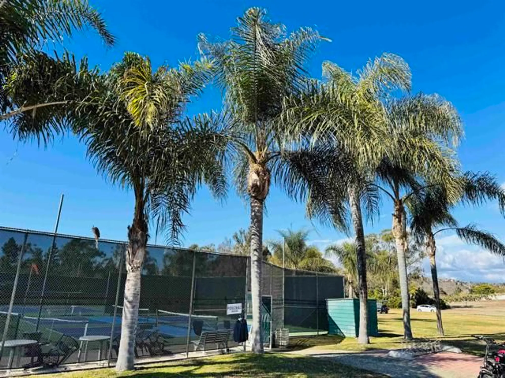 Property Slideshow image 67 of 74 | 3445 don ortega dr, Carlsbad, CA, 92010