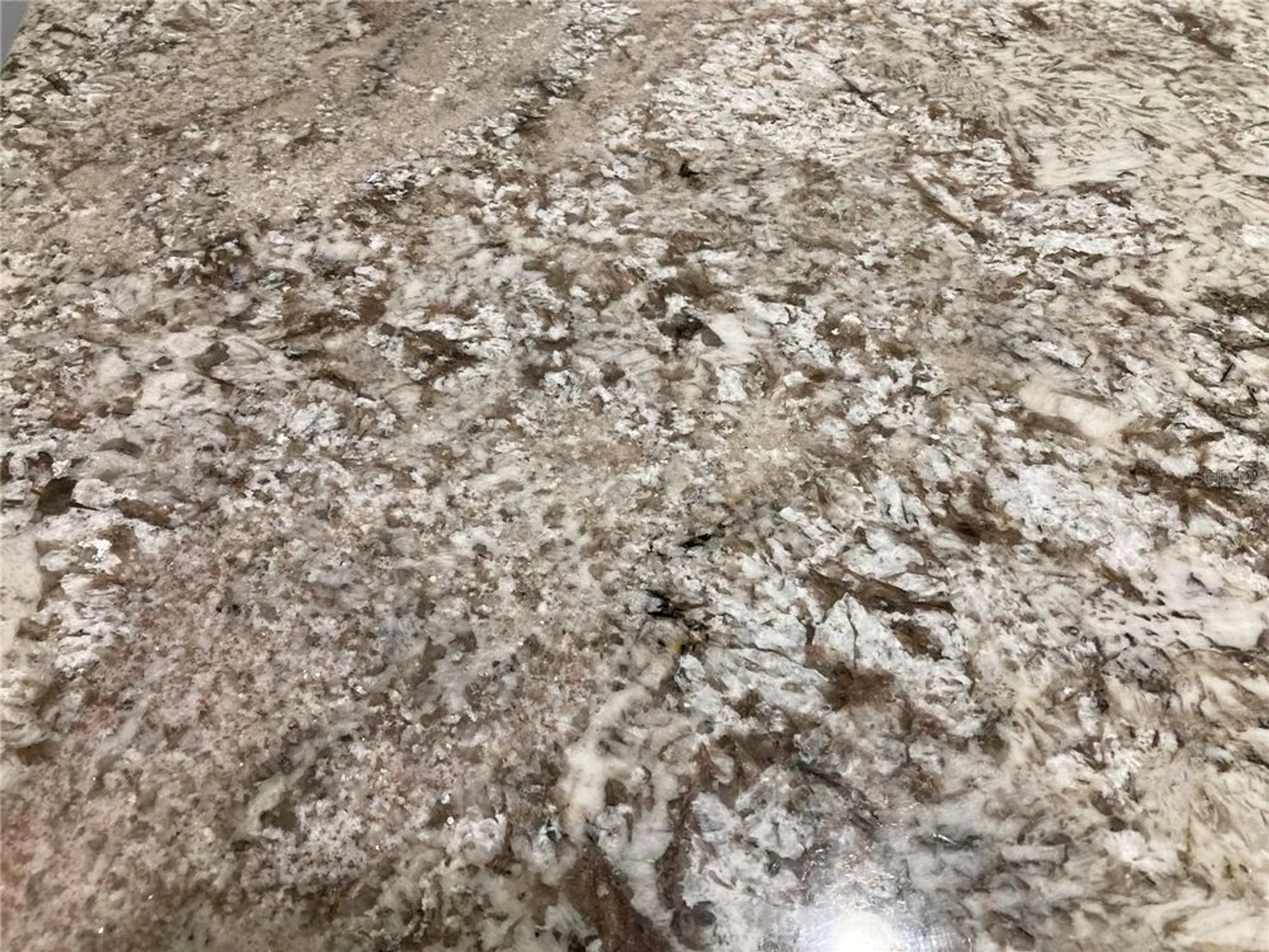 Property Slideshow image 29 of 70 | 3078 silvermines ave, Ormond Beach, FL, 32174