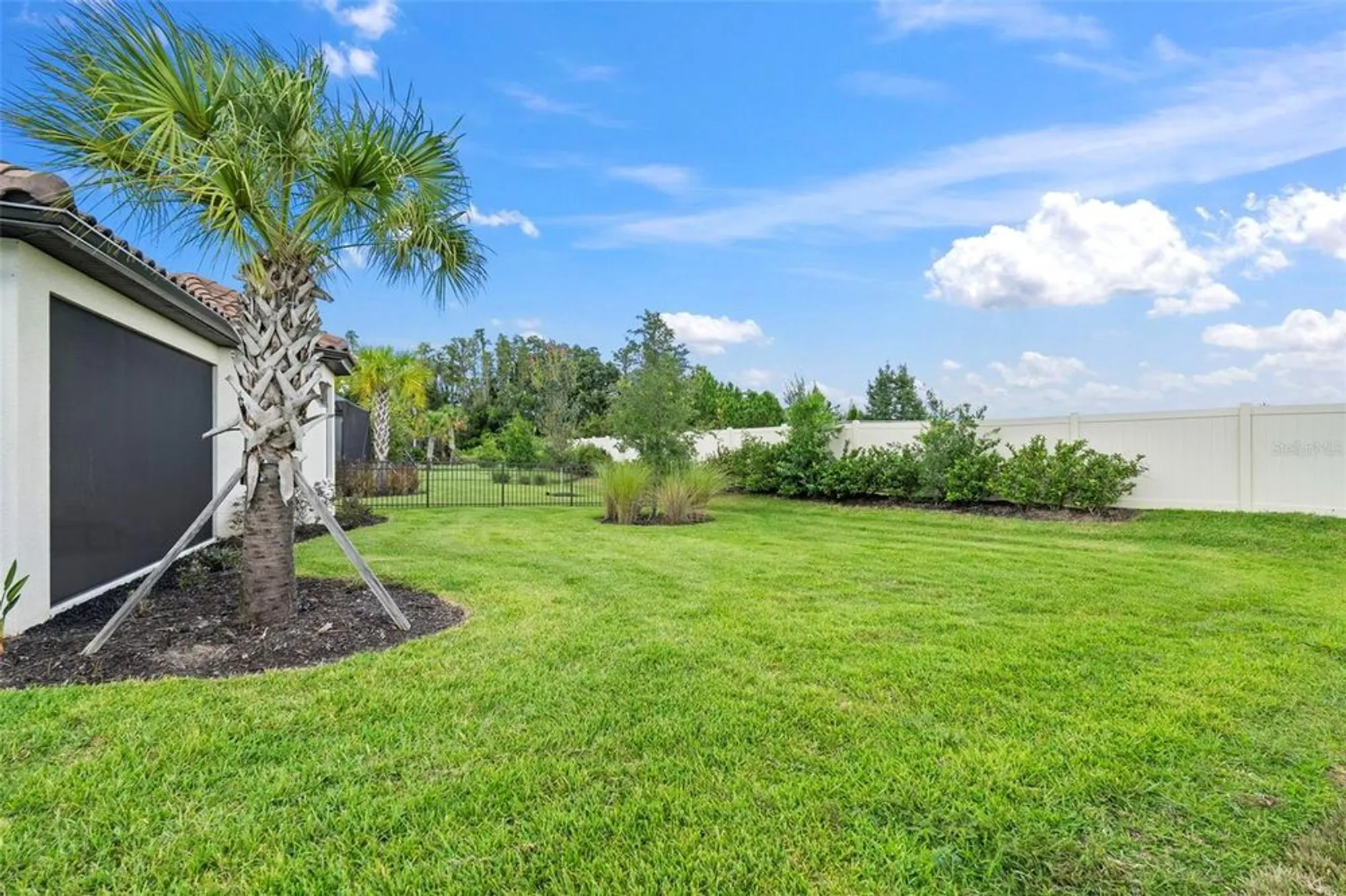 Property Slideshow image 51 of 62 | 4308 cairoli ct, Wesley Chapel, FL, 33543