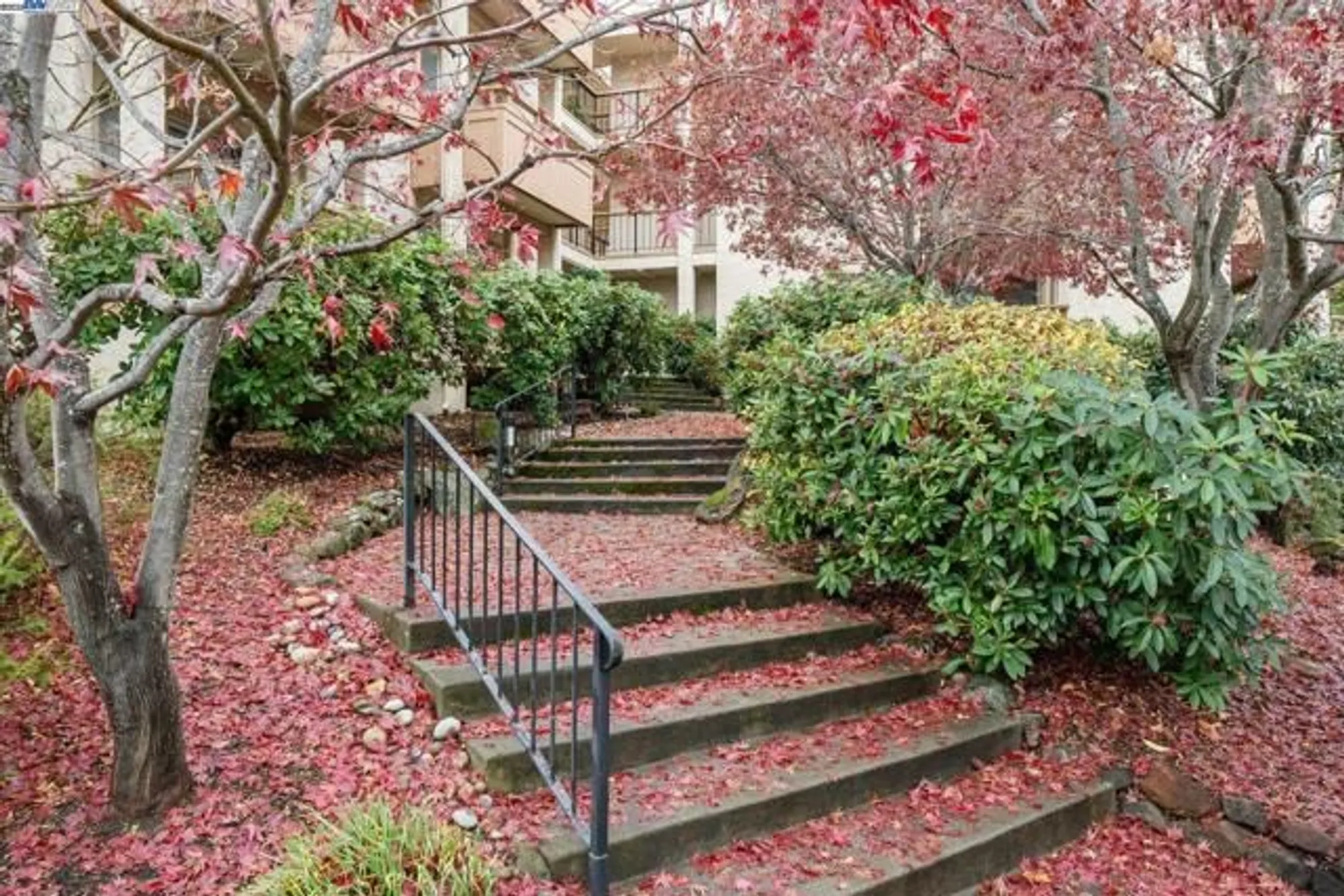 Property Slideshow image 40 of 44 | 4033 terra granada dr 5c, Walnut Creek, CA, 94595