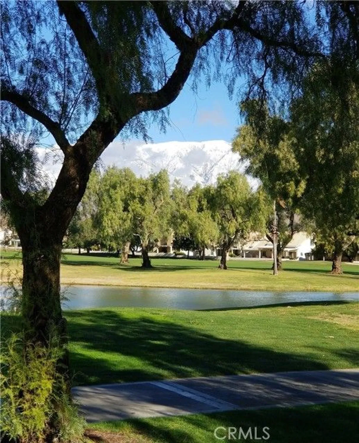 Property Slideshow image 70 of 75 | 4981 mission hills dr, Banning, CA, 92220