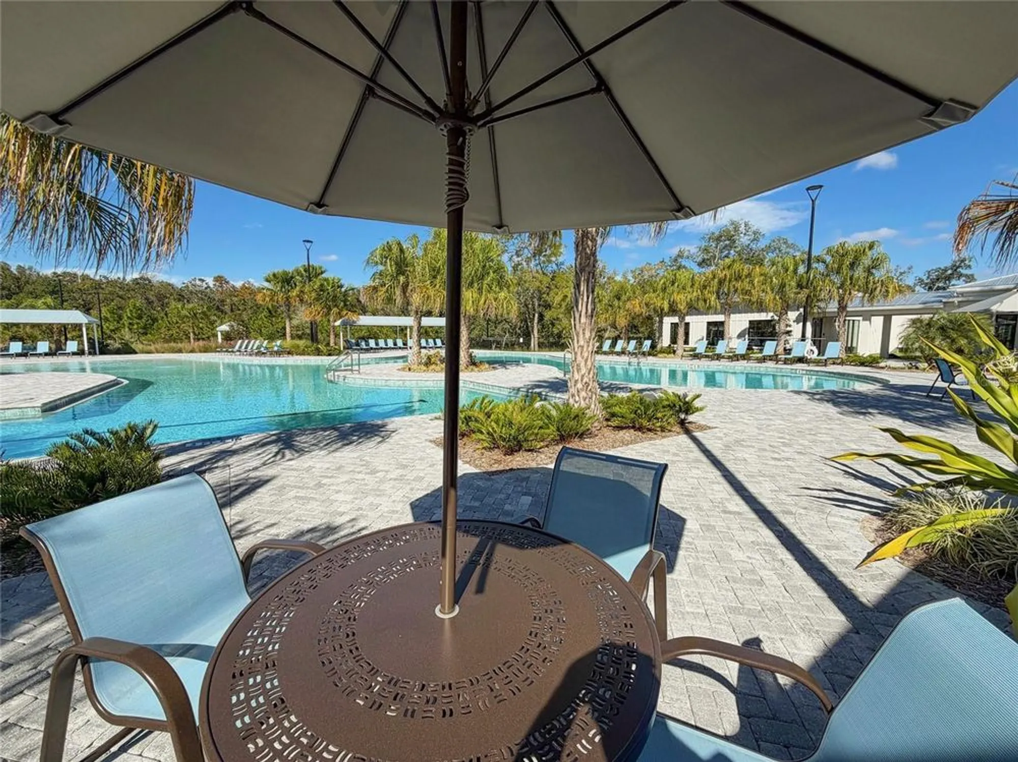 Property Slideshow image 79 of 90 | 17216 mango shay ct, Land O Lakes, FL, 34638