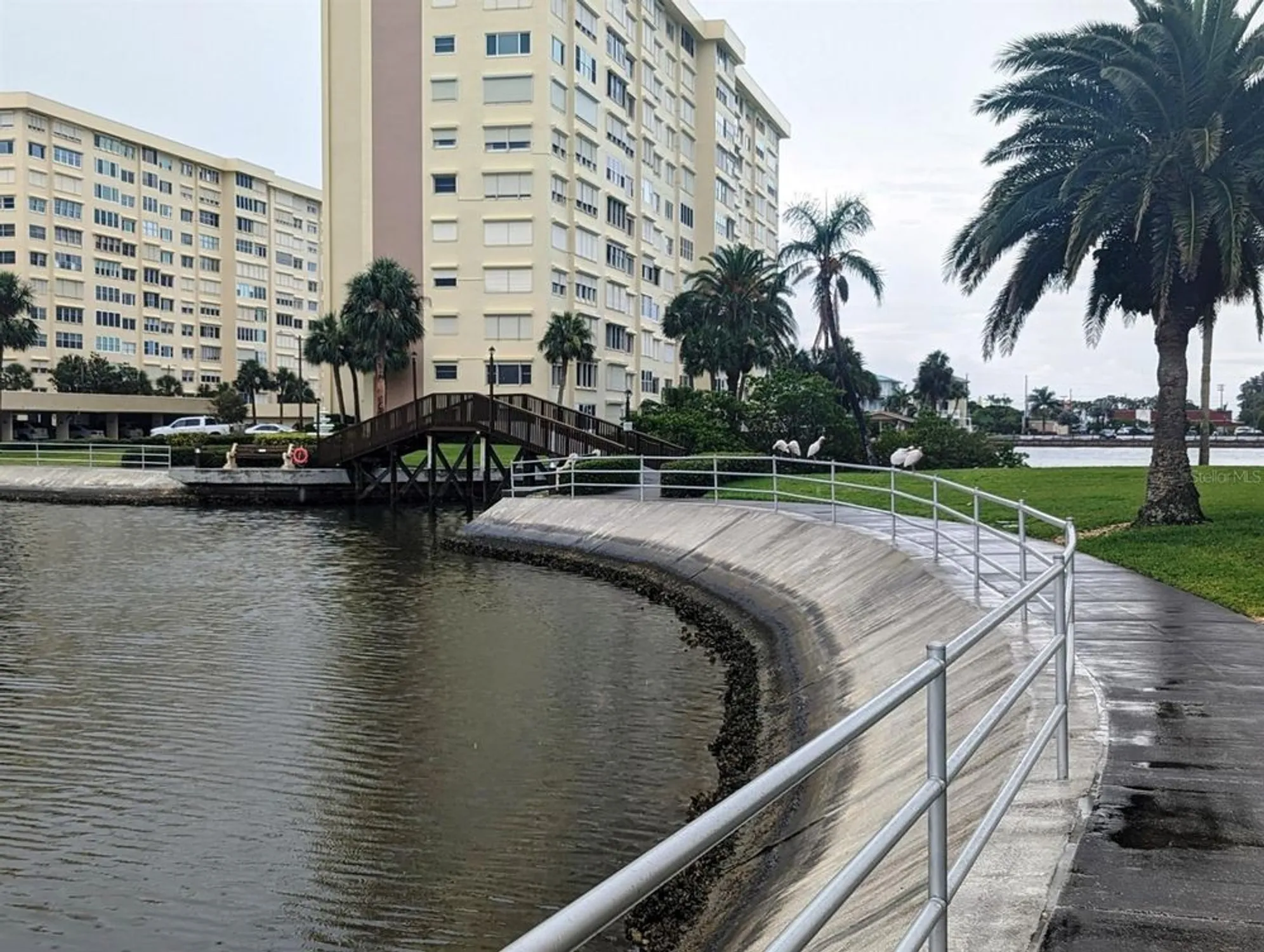 Property Slideshow image 76 of 77 | 4725 cove cir apt 810, Saint Petersburg, FL, 33708