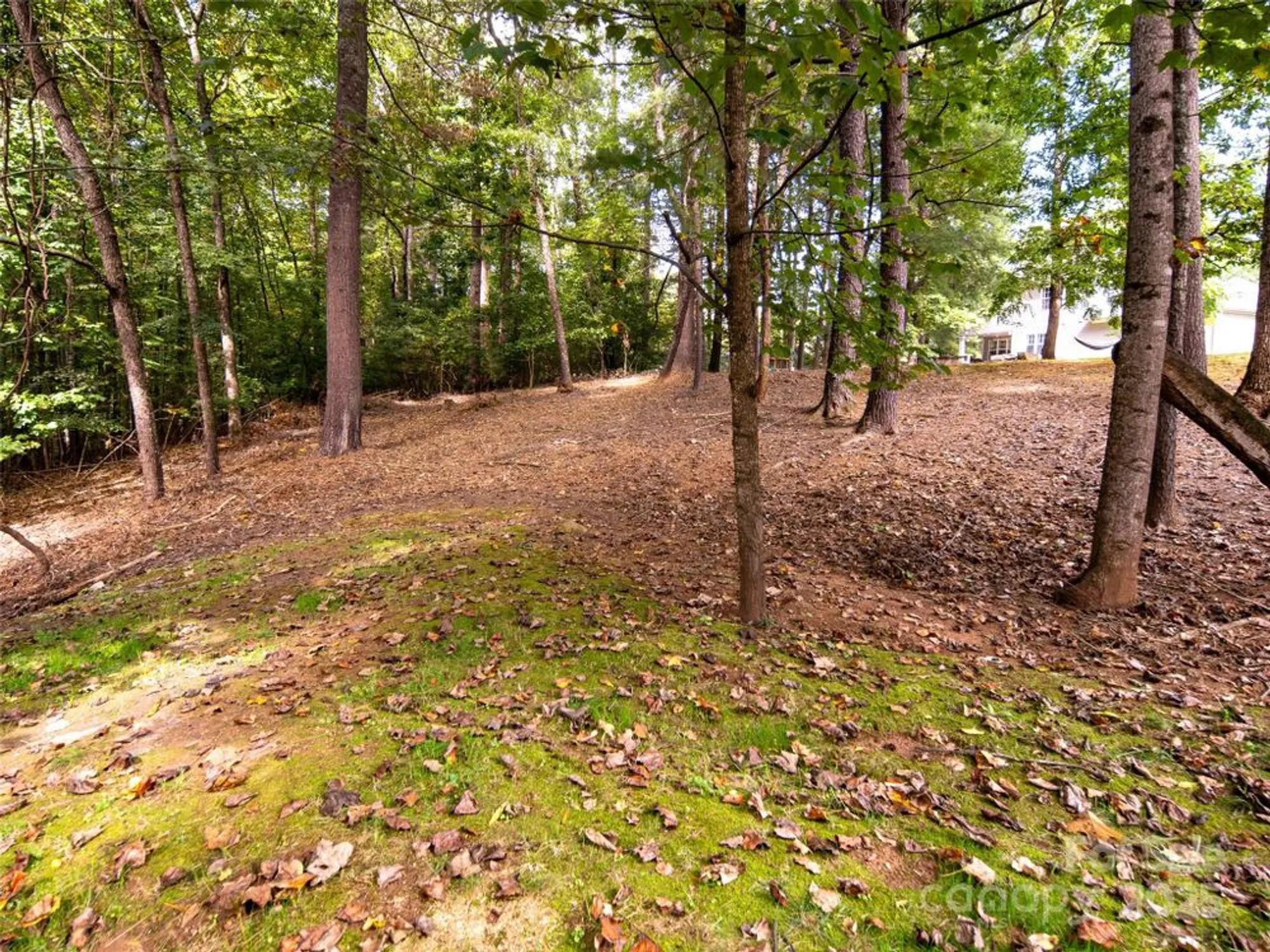 Property Slideshow image 30 of 48 | 588 welsh partridge cir, Biltmore Lake, NC, 28715