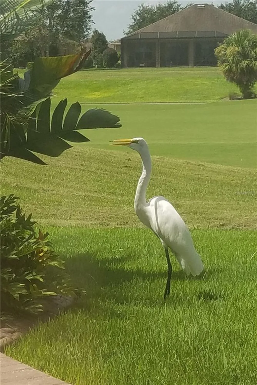 Property Slideshow image 96 of 100 | 6816 sw 95th cir, Ocala, FL, 34481